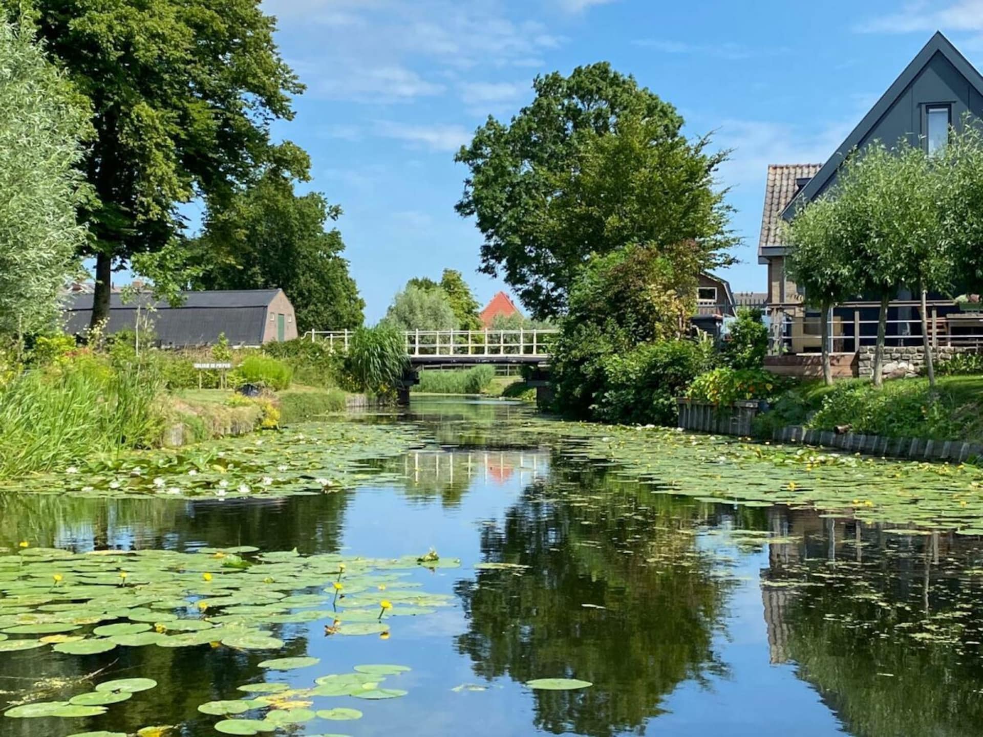 484579 - foto 22