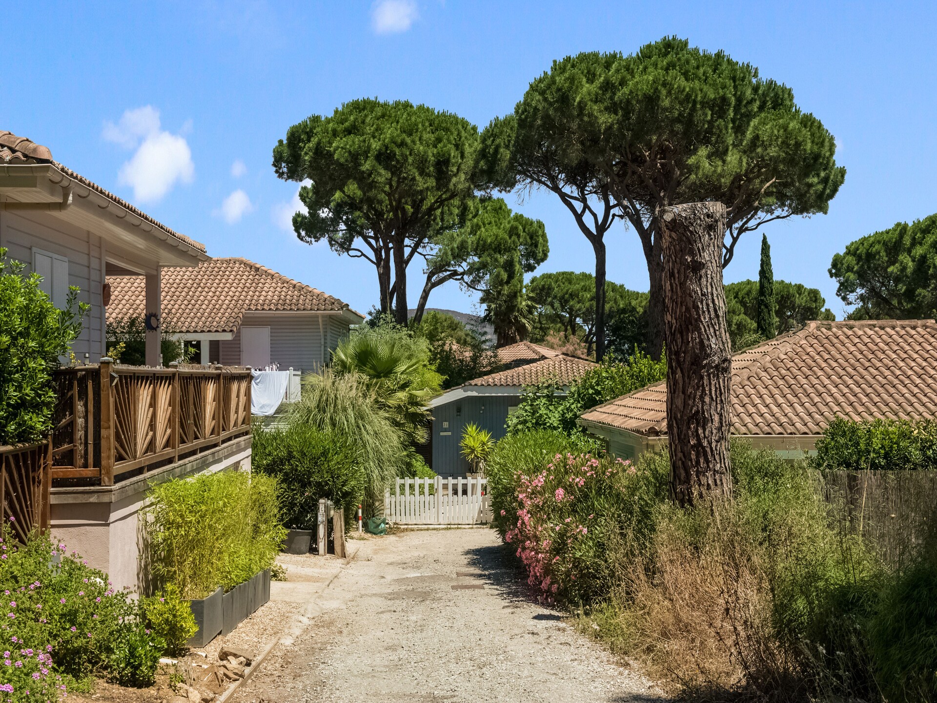 Houten villa Lavande op groen park nabij Saint-Tropez - foto 3