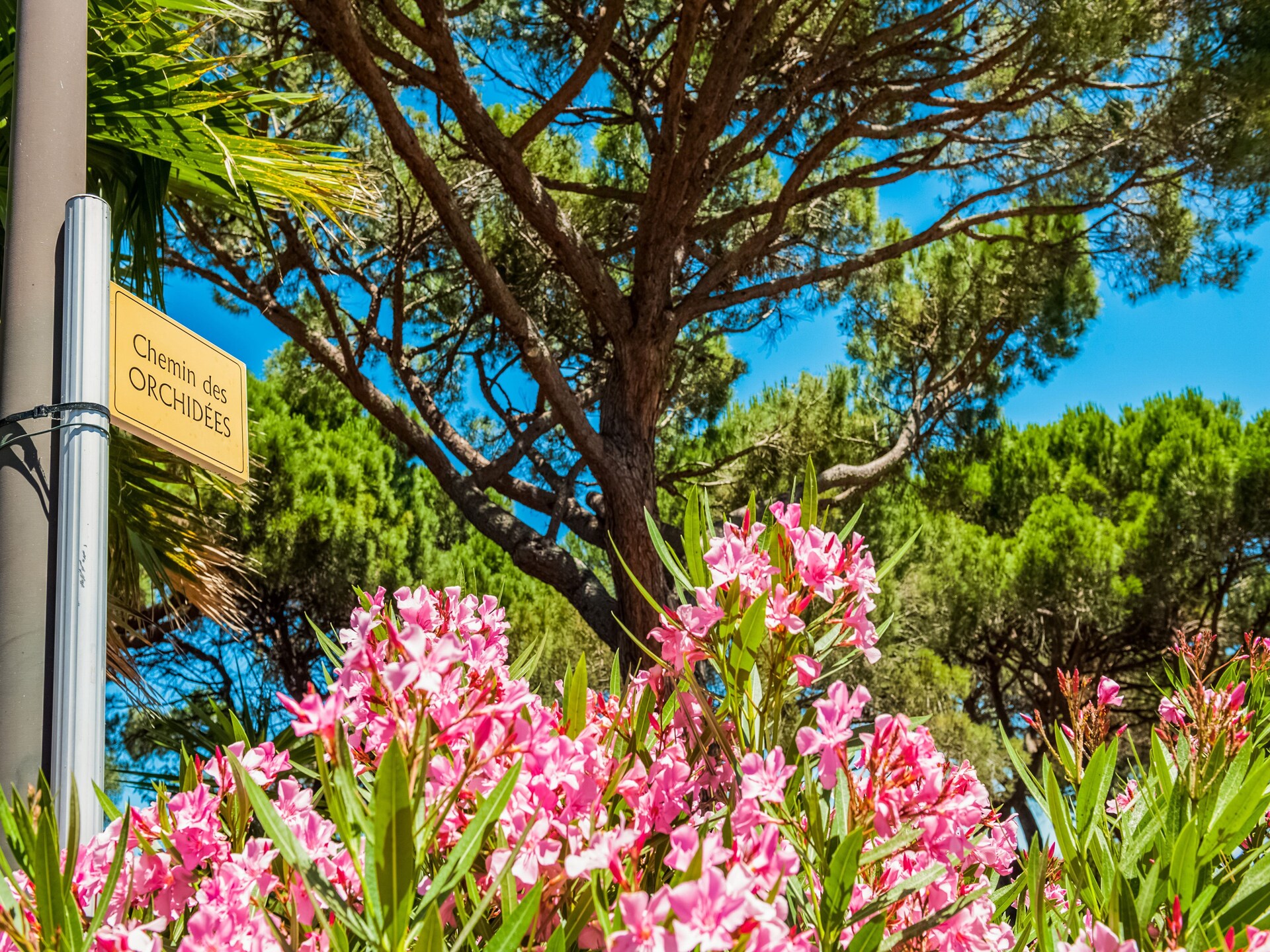 Houten villa Lavande op groen park nabij Saint-Tropez - foto 24