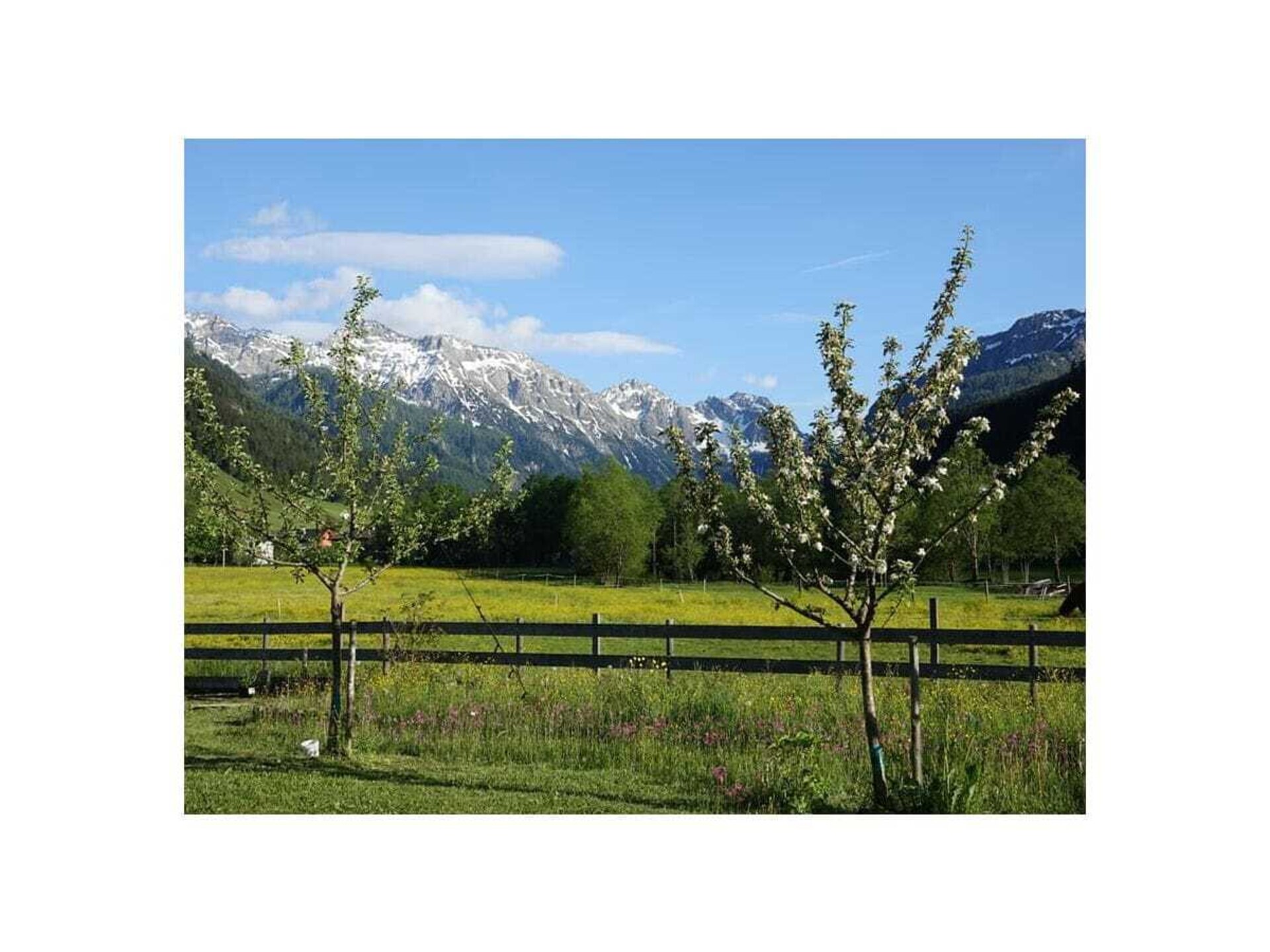 27867 - foto 6