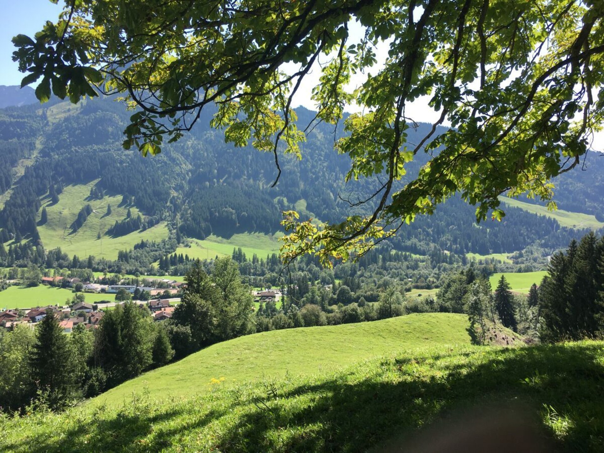 101316 - foto 21