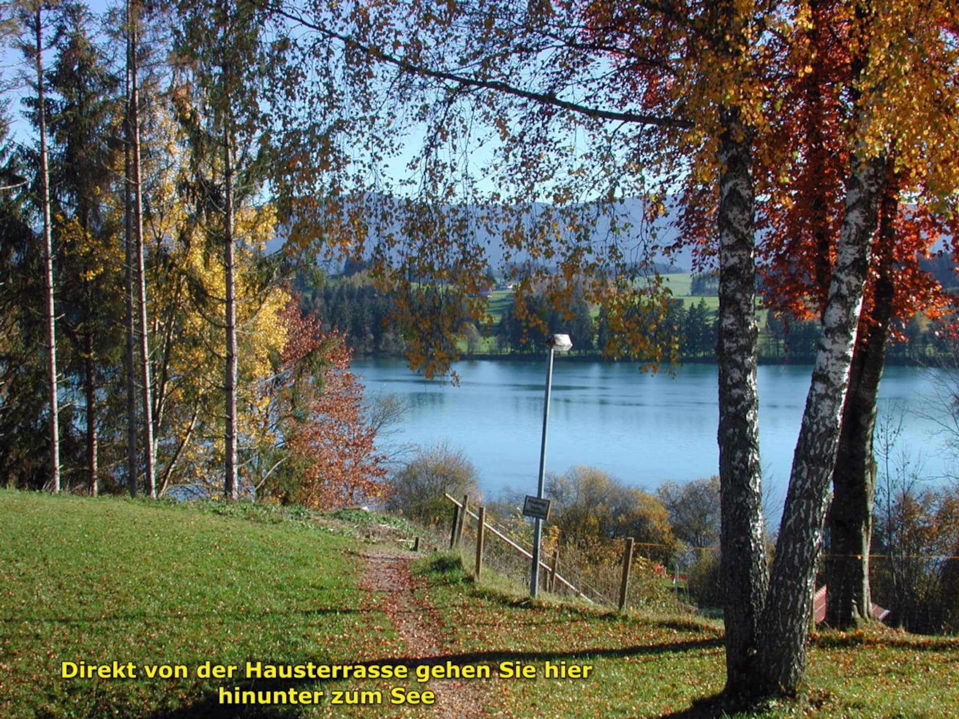 46287 - foto 2