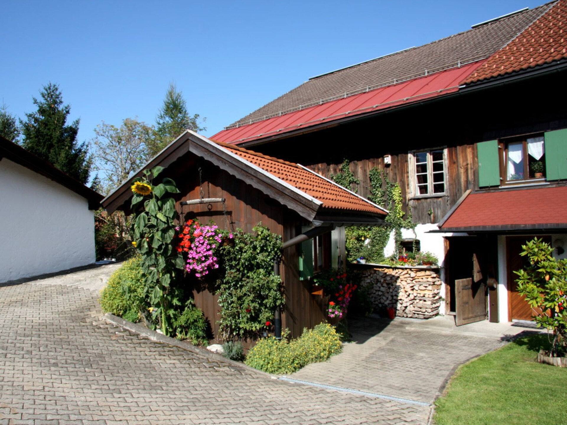 190537 - foto 3