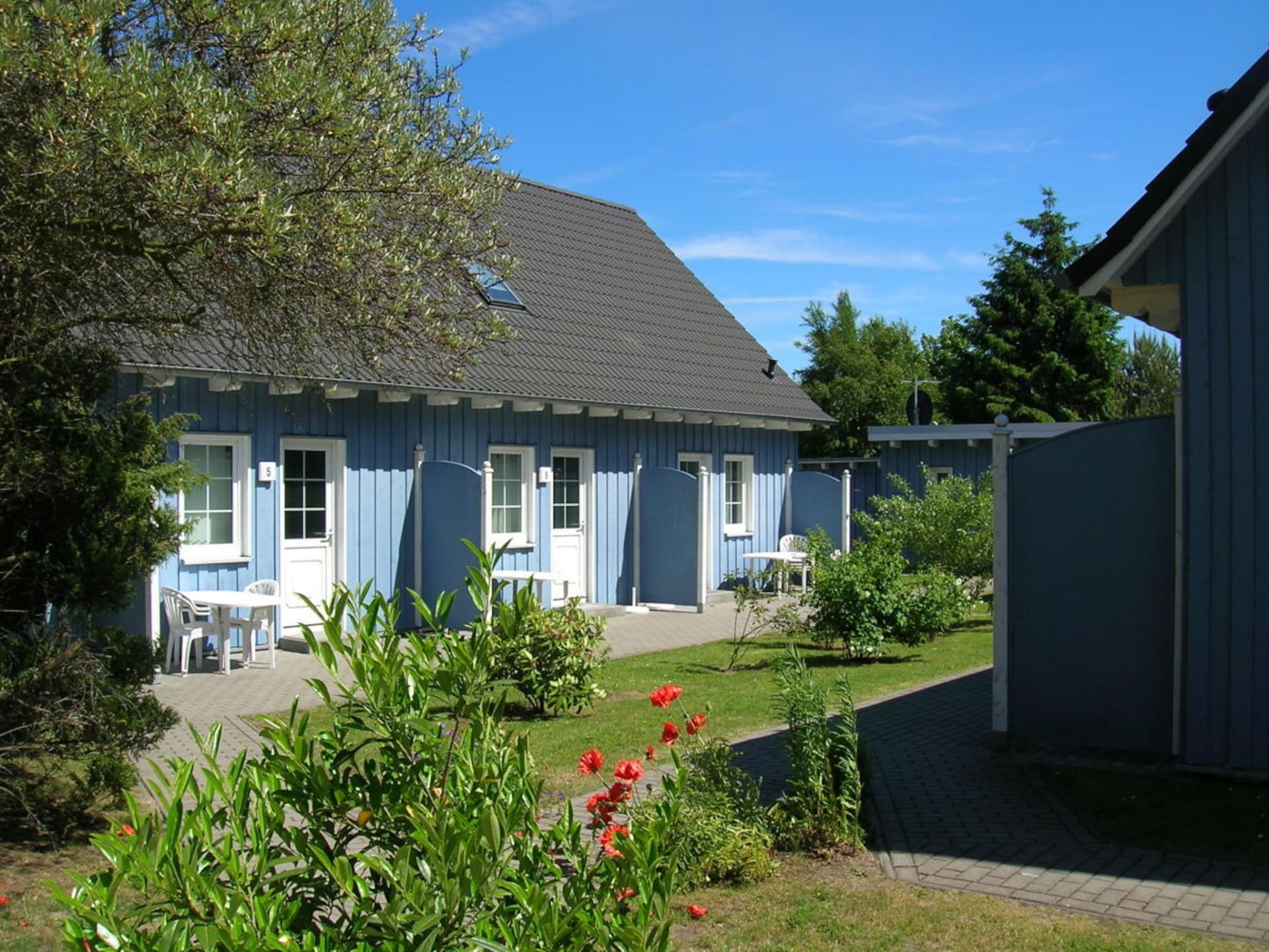 209547 - foto 2