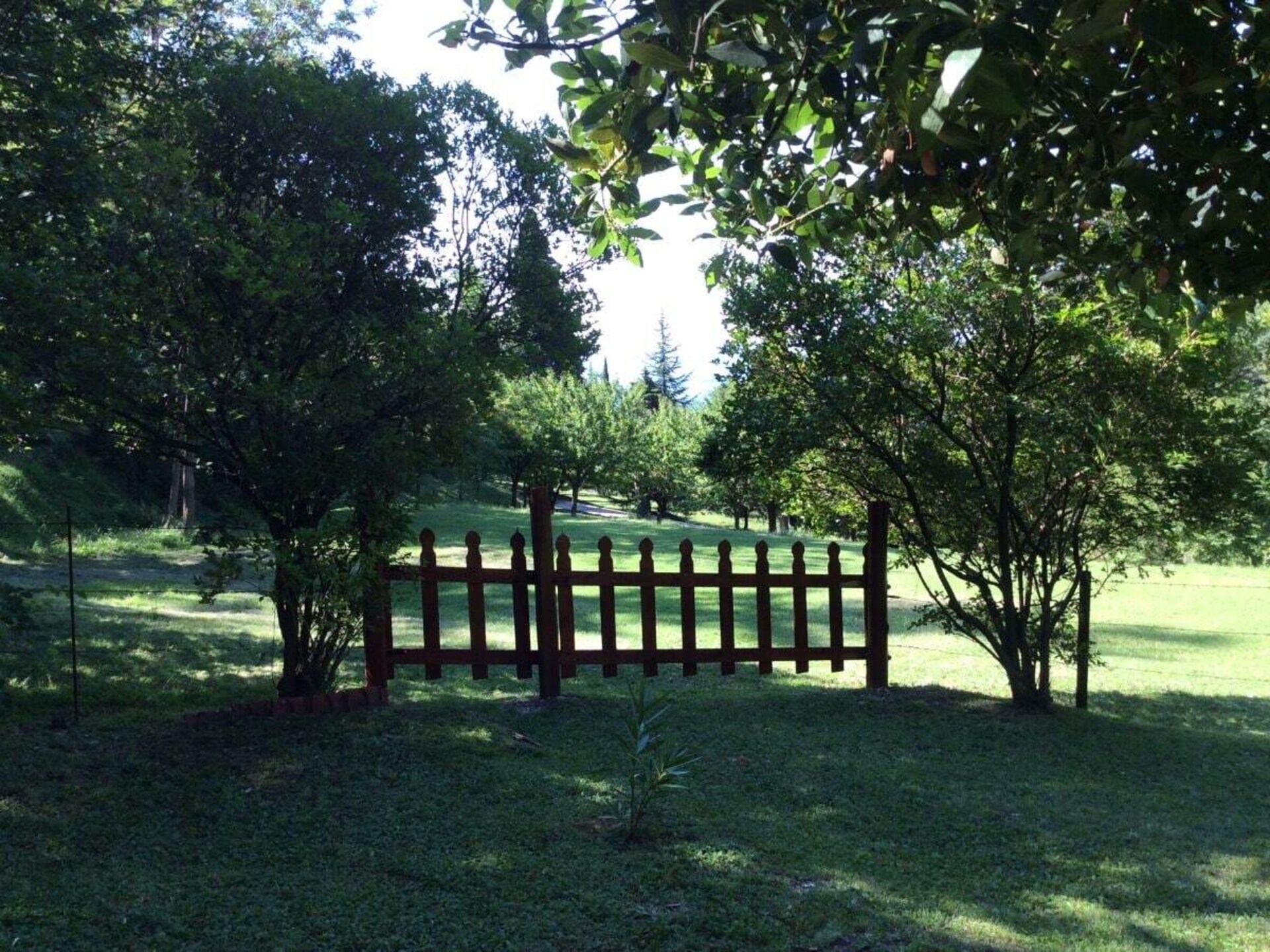 259618 - foto 14