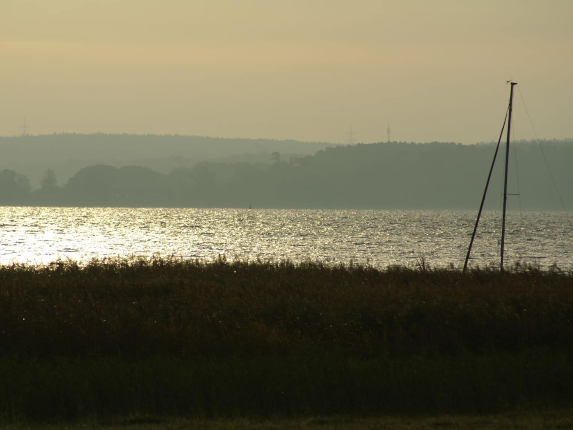 226467 - foto 12