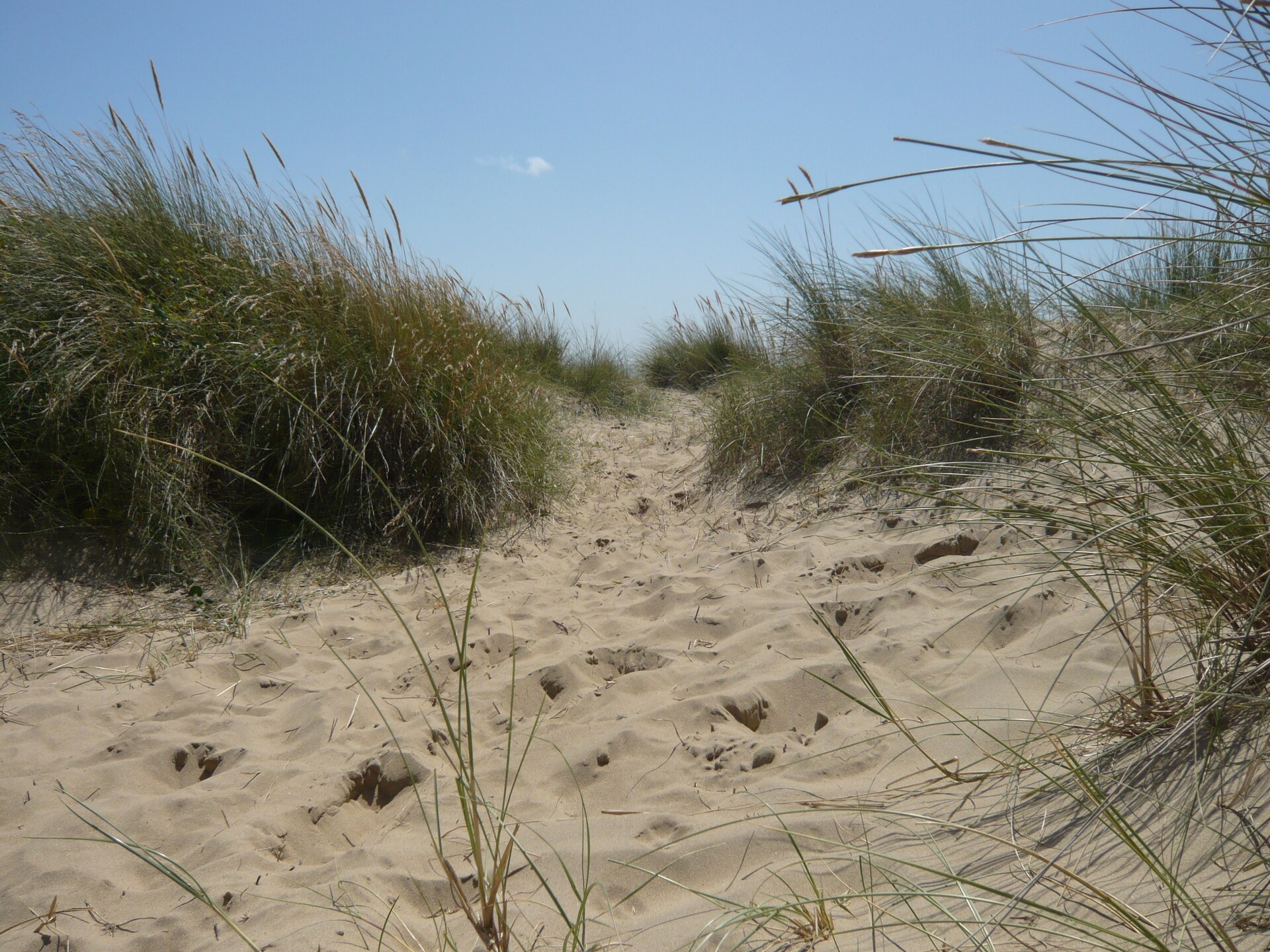 Vrijstaand landhuis aan het meer in Fairfield, Kent – 6 personen - foto 21