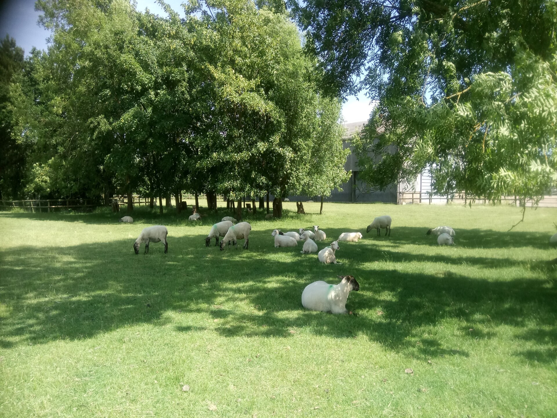 Vrijstaand landhuis aan het meer in Fairfield, Kent – 6 personen - foto 18