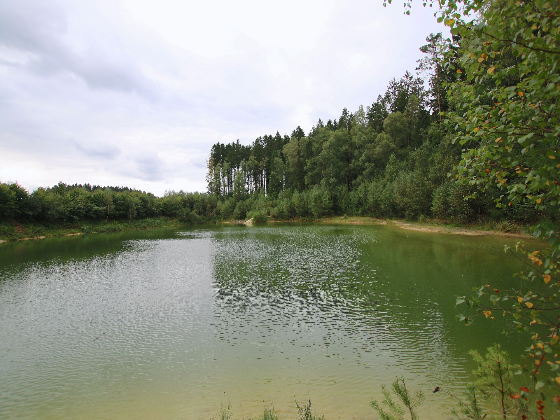 Ruim chalet voor 6 in de bossen bij Transinne met jeu de boulesbaan - foto 33