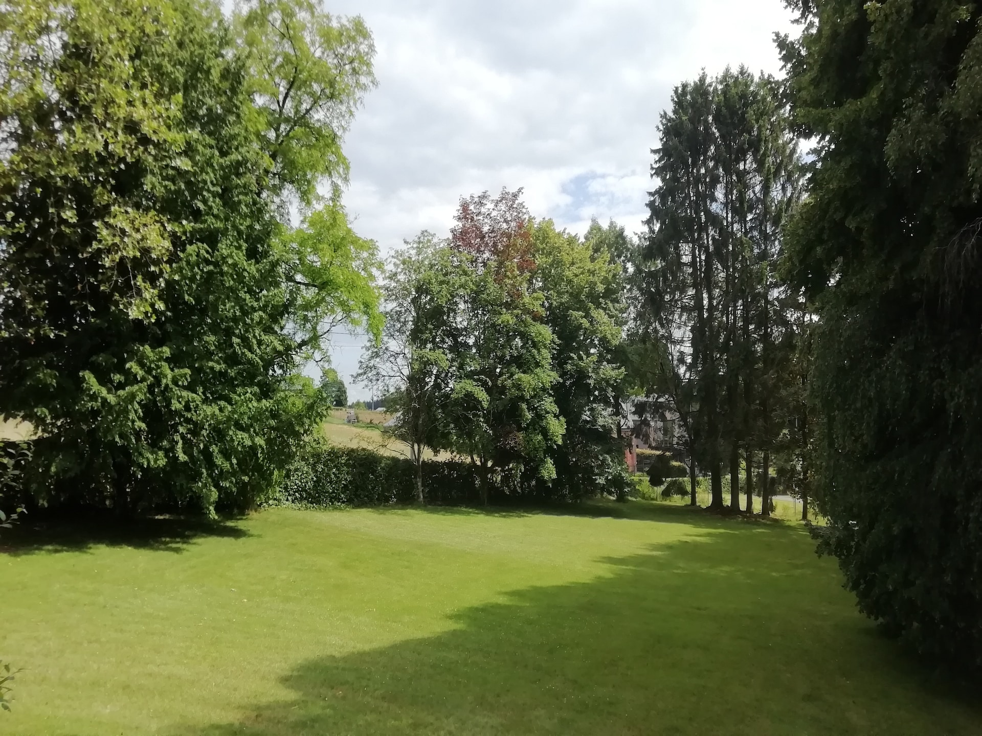 Ruim chalet voor 6 in de bossen bij Transinne met jeu de boulesbaan - foto 25