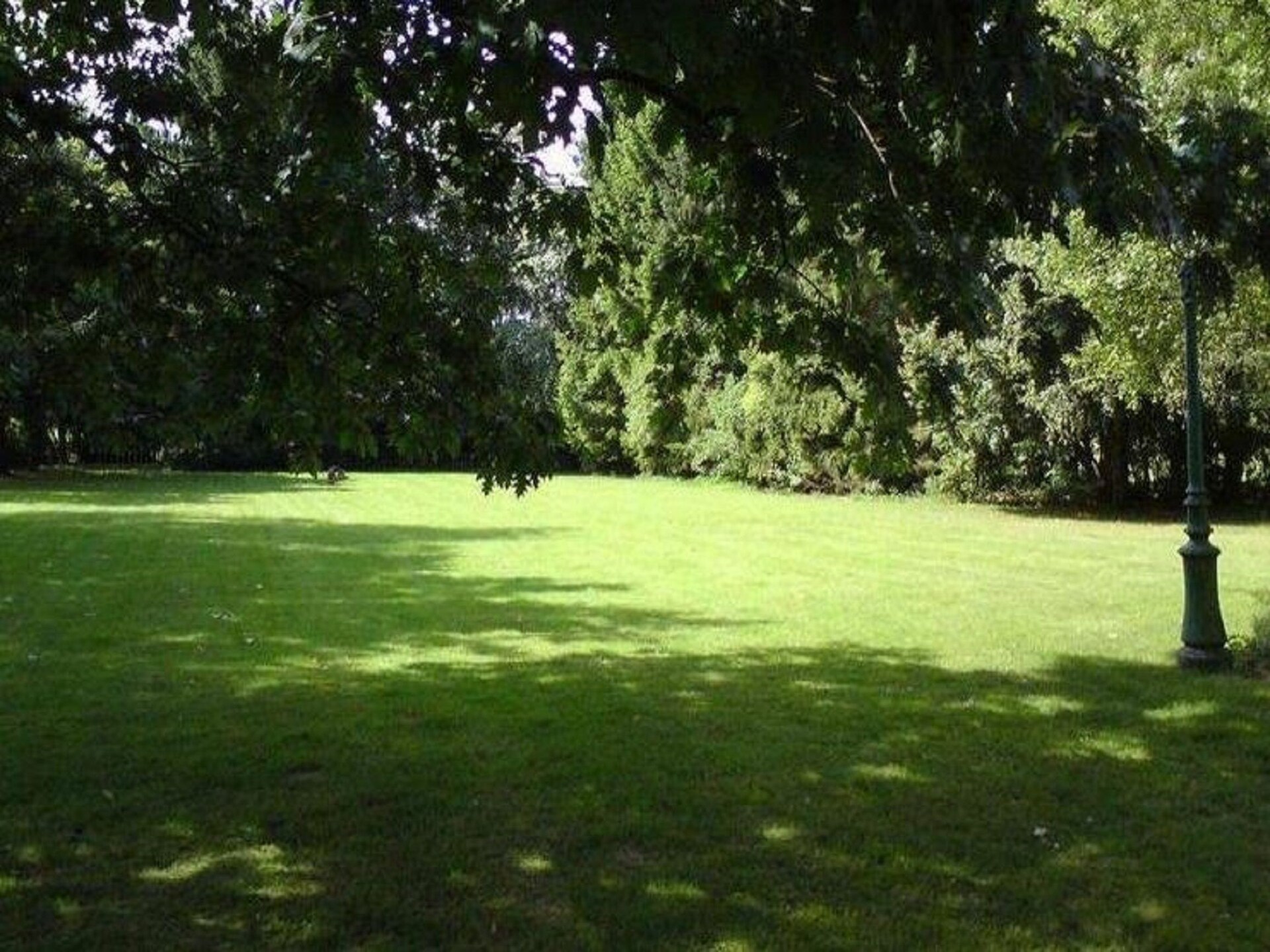 Ruim chalet voor 6 in de bossen bij Transinne met jeu de boulesbaan - foto 31