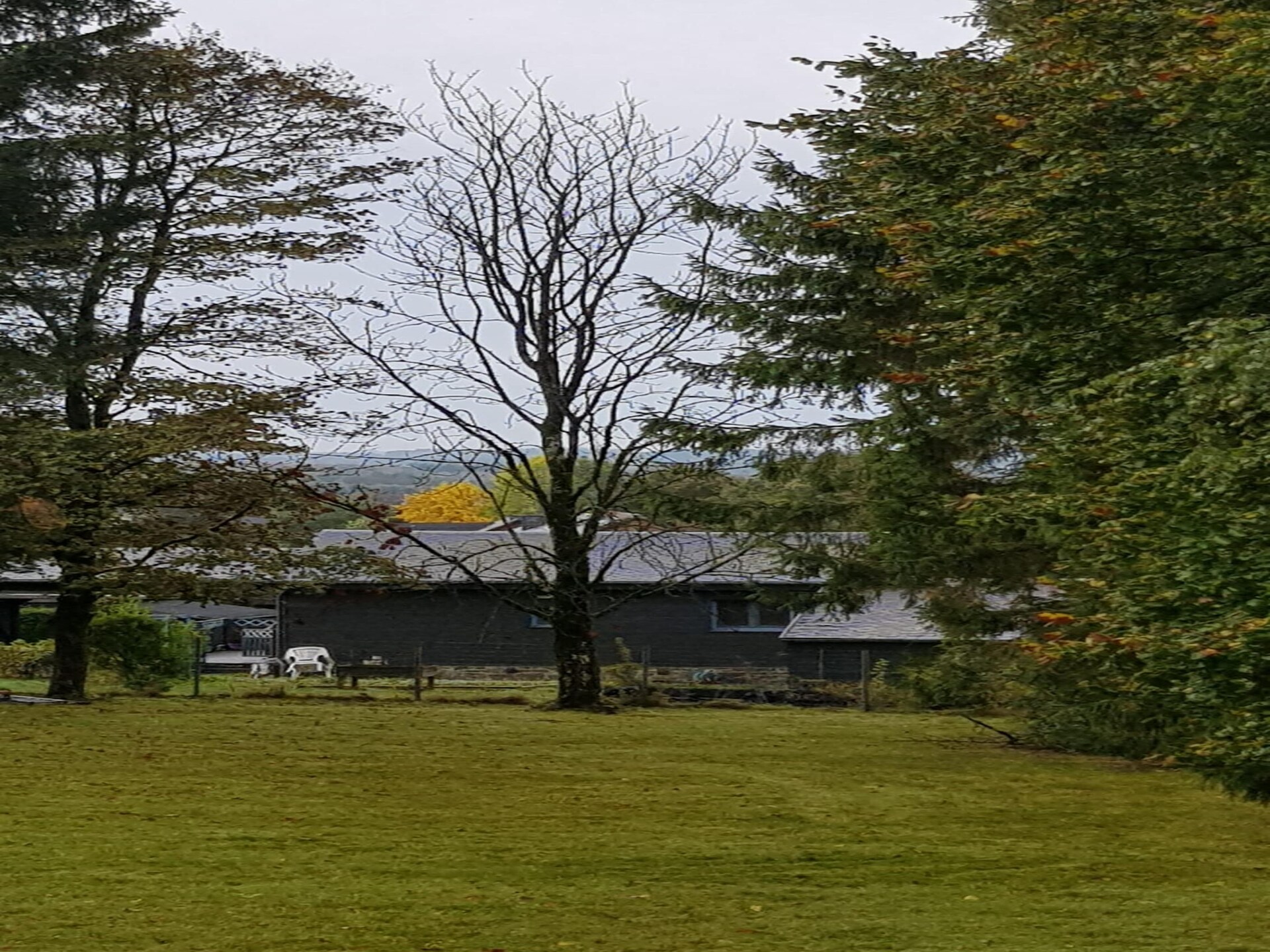 Ruim chalet voor 6 in de bossen bij Transinne met jeu de boulesbaan - foto 32