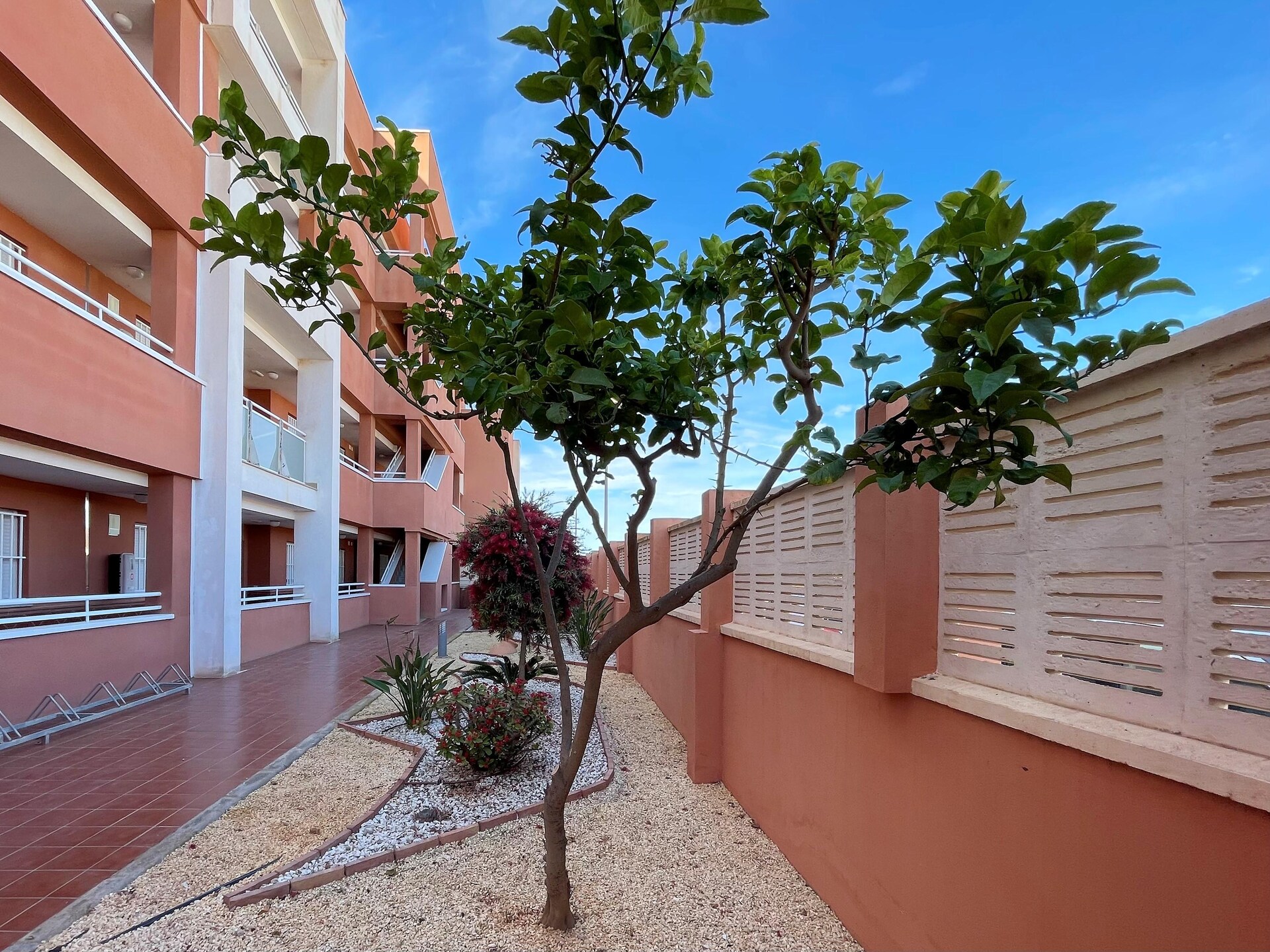 Brasil lux - foto 1