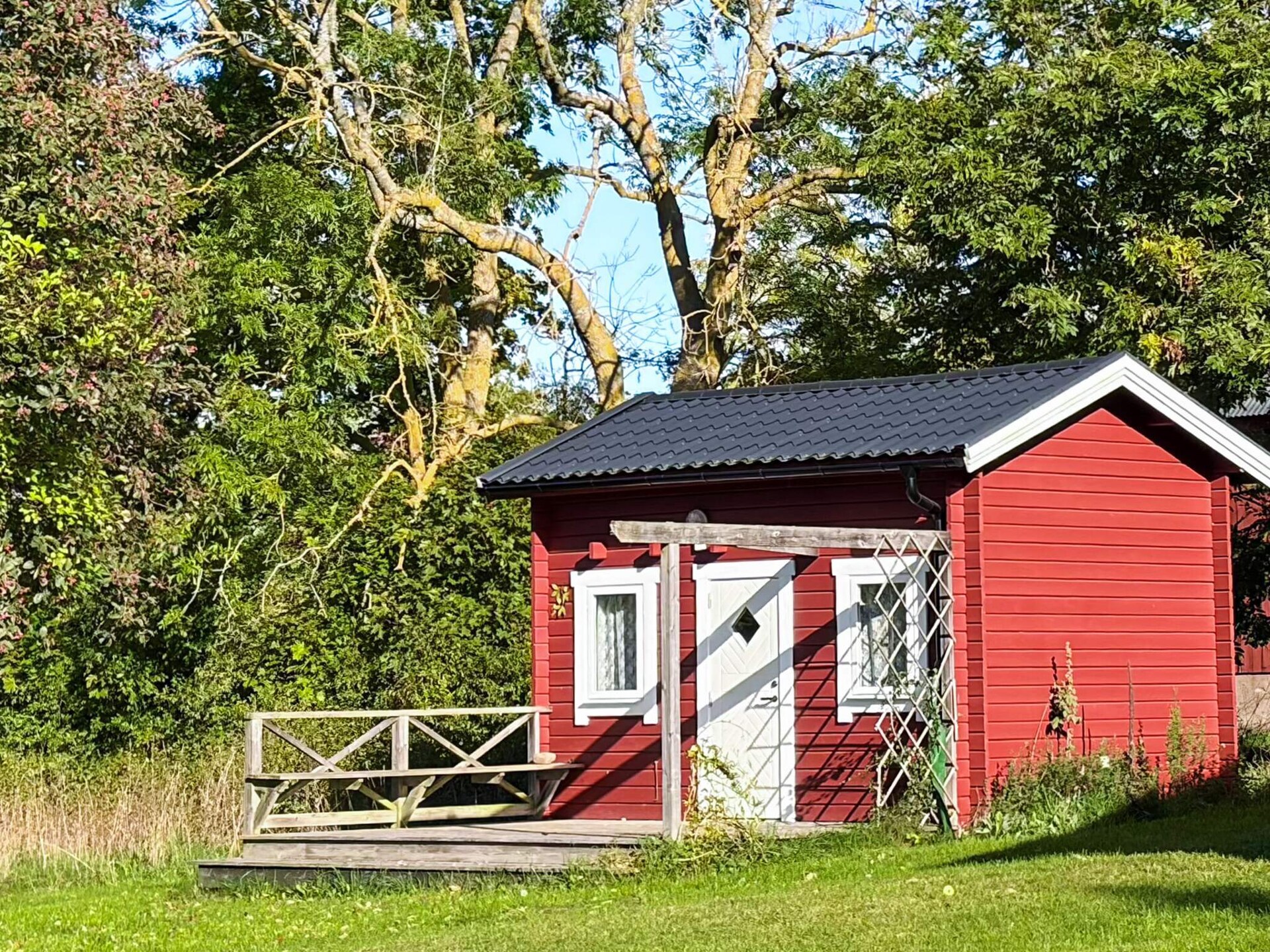 66873 - foto 7