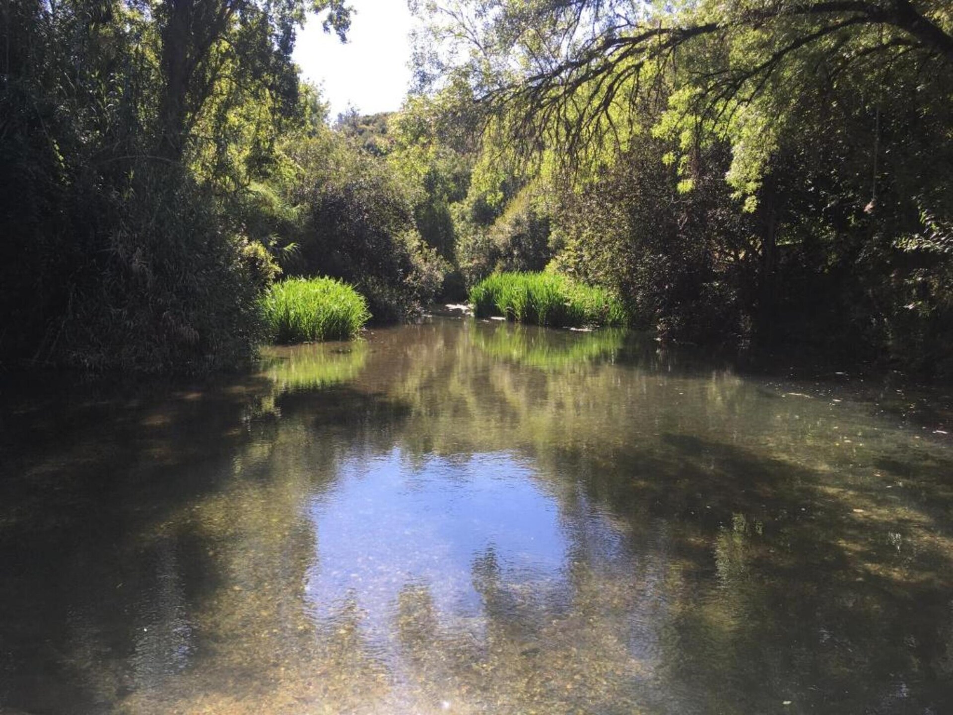 Ruime boerderij met privézwembad op het Portugese platteland bij Soudos - foto 25