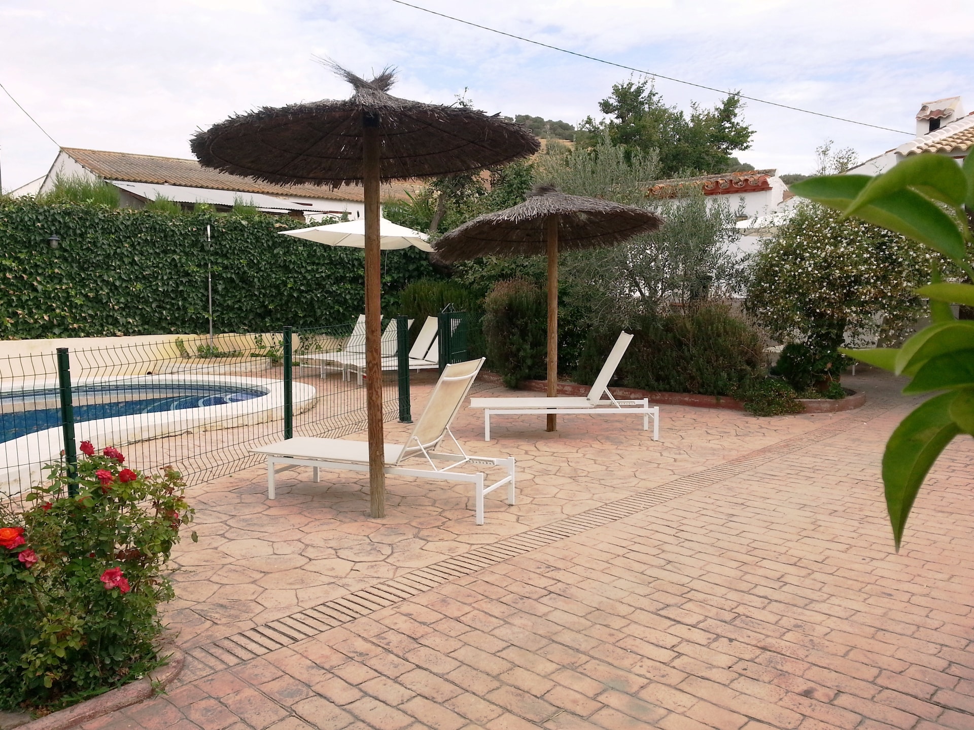 Privézwembad en landelijke sfeer in landhuis Casa La Palmera, Málaga - foto 25
