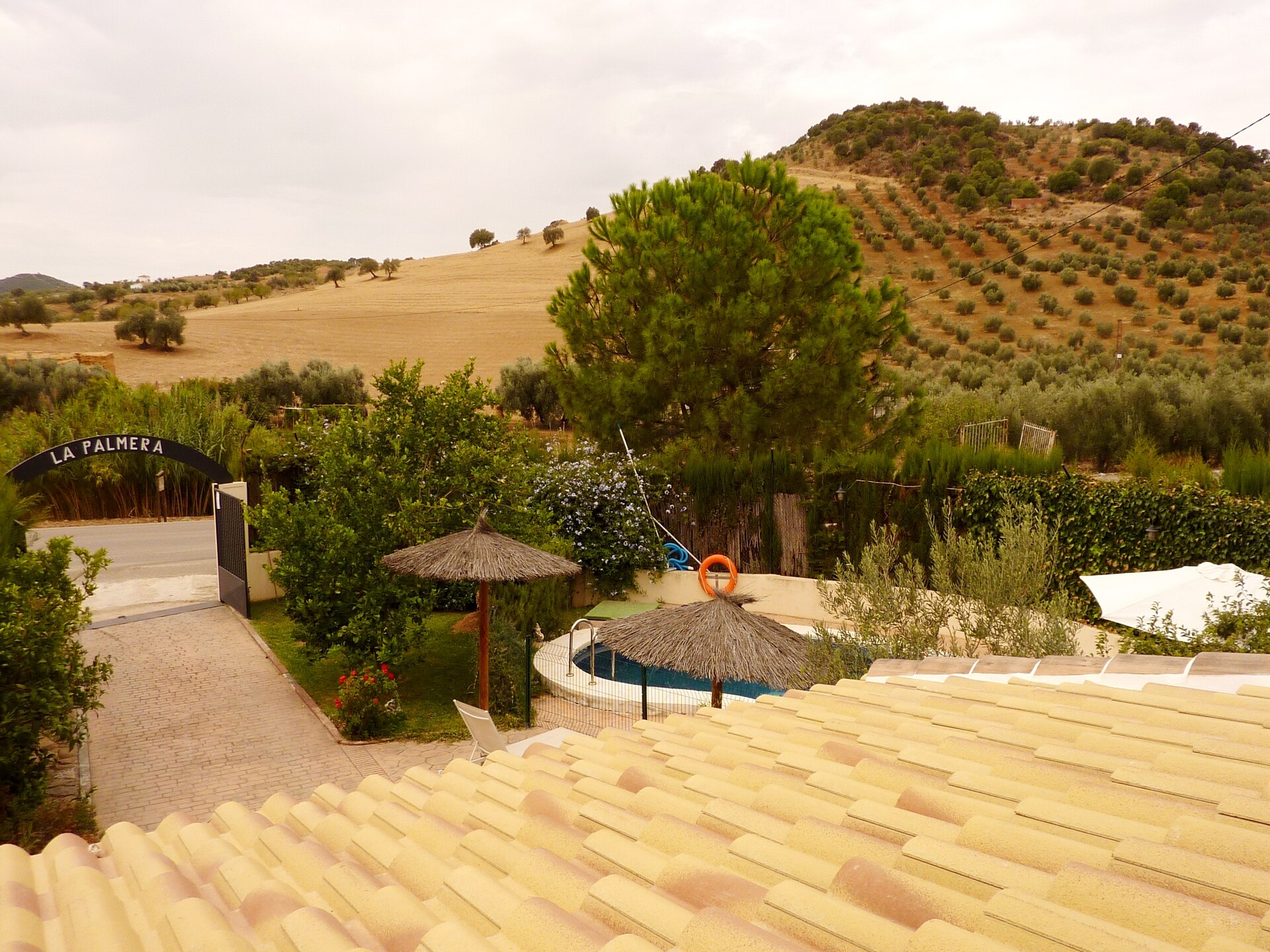 Privézwembad en landelijke sfeer in landhuis Casa La Palmera, Málaga - foto 7