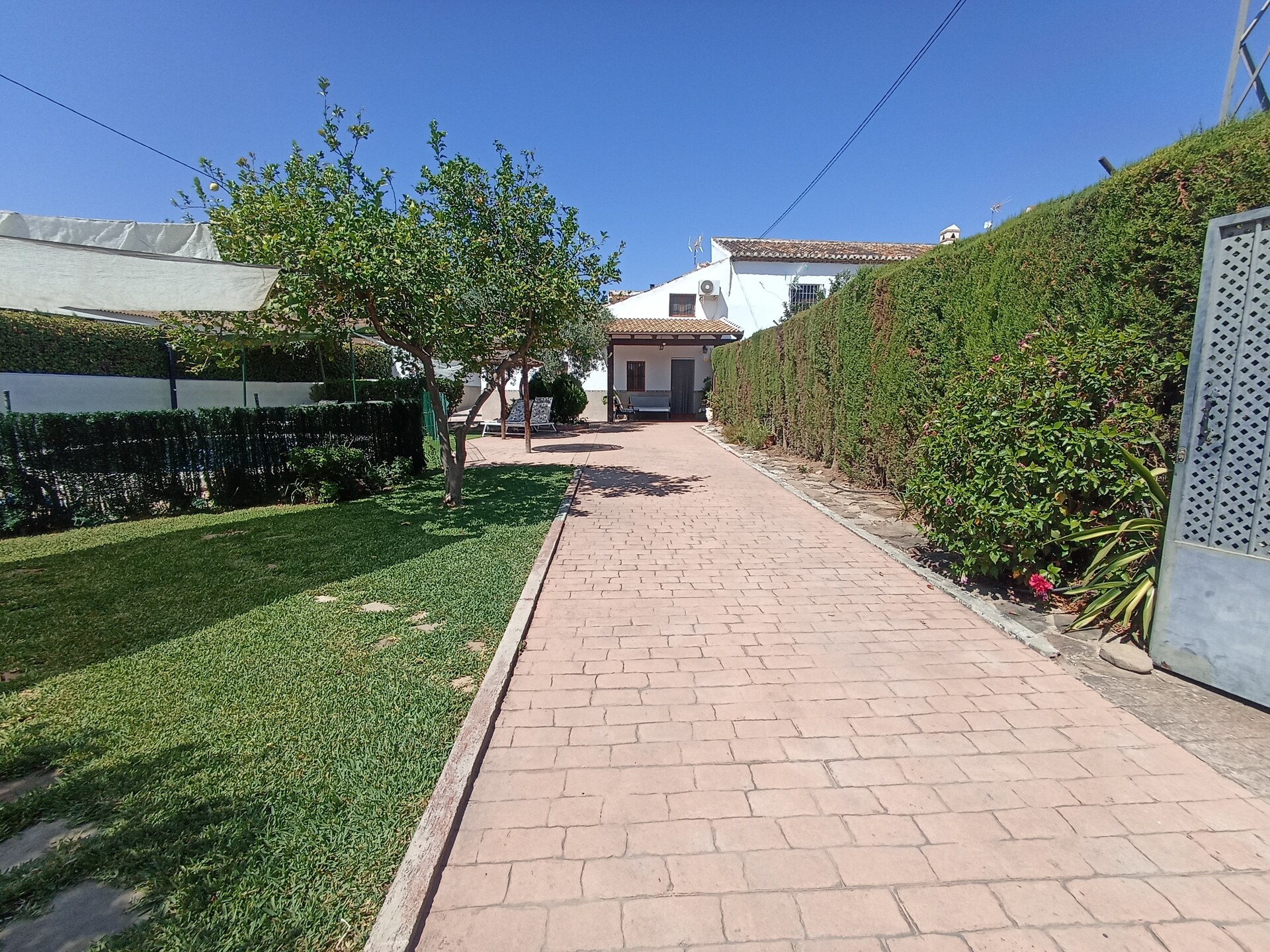 Privézwembad en landelijke sfeer in landhuis Casa La Palmera, Málaga - foto 42