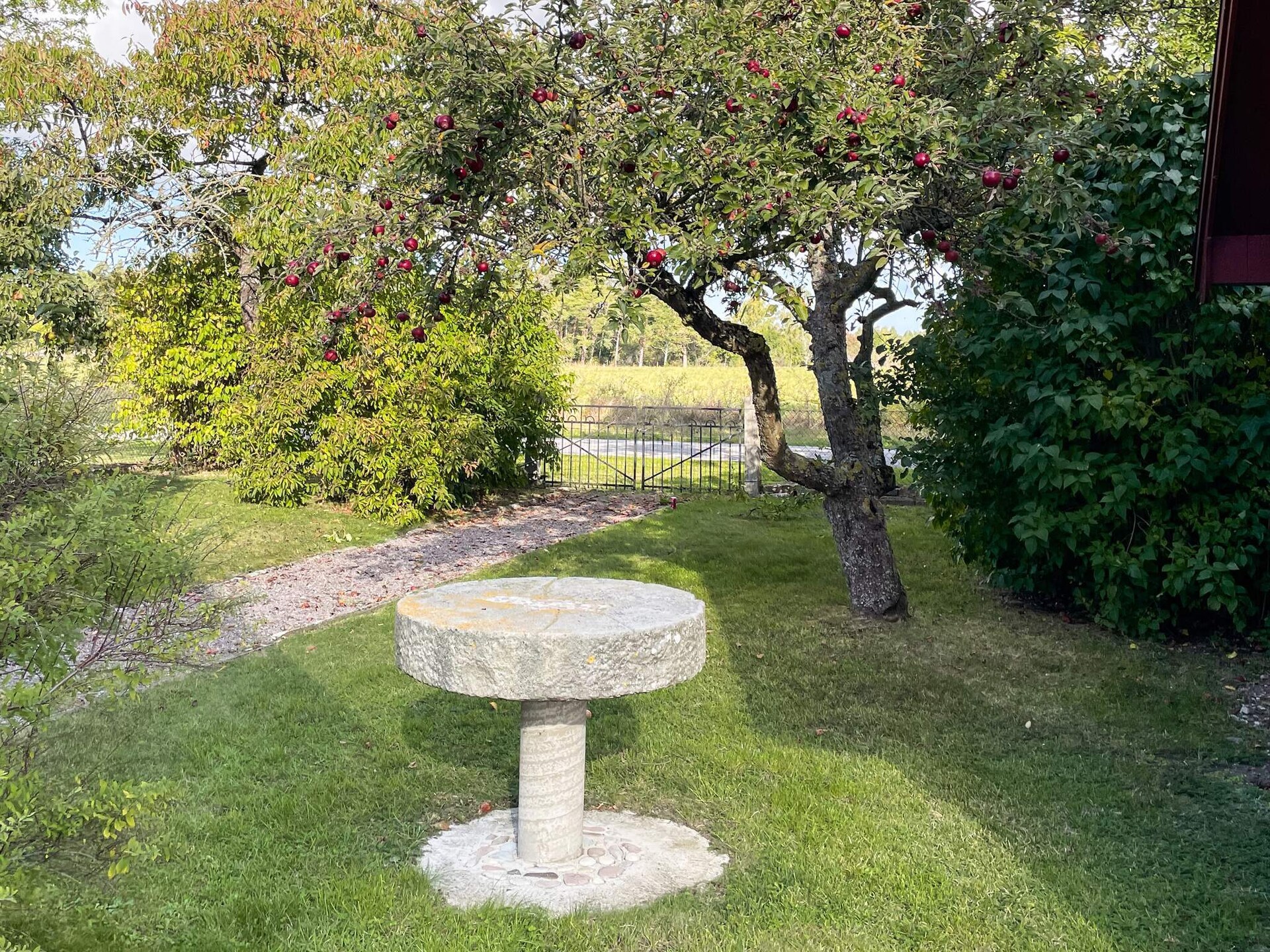 66855 - foto 6