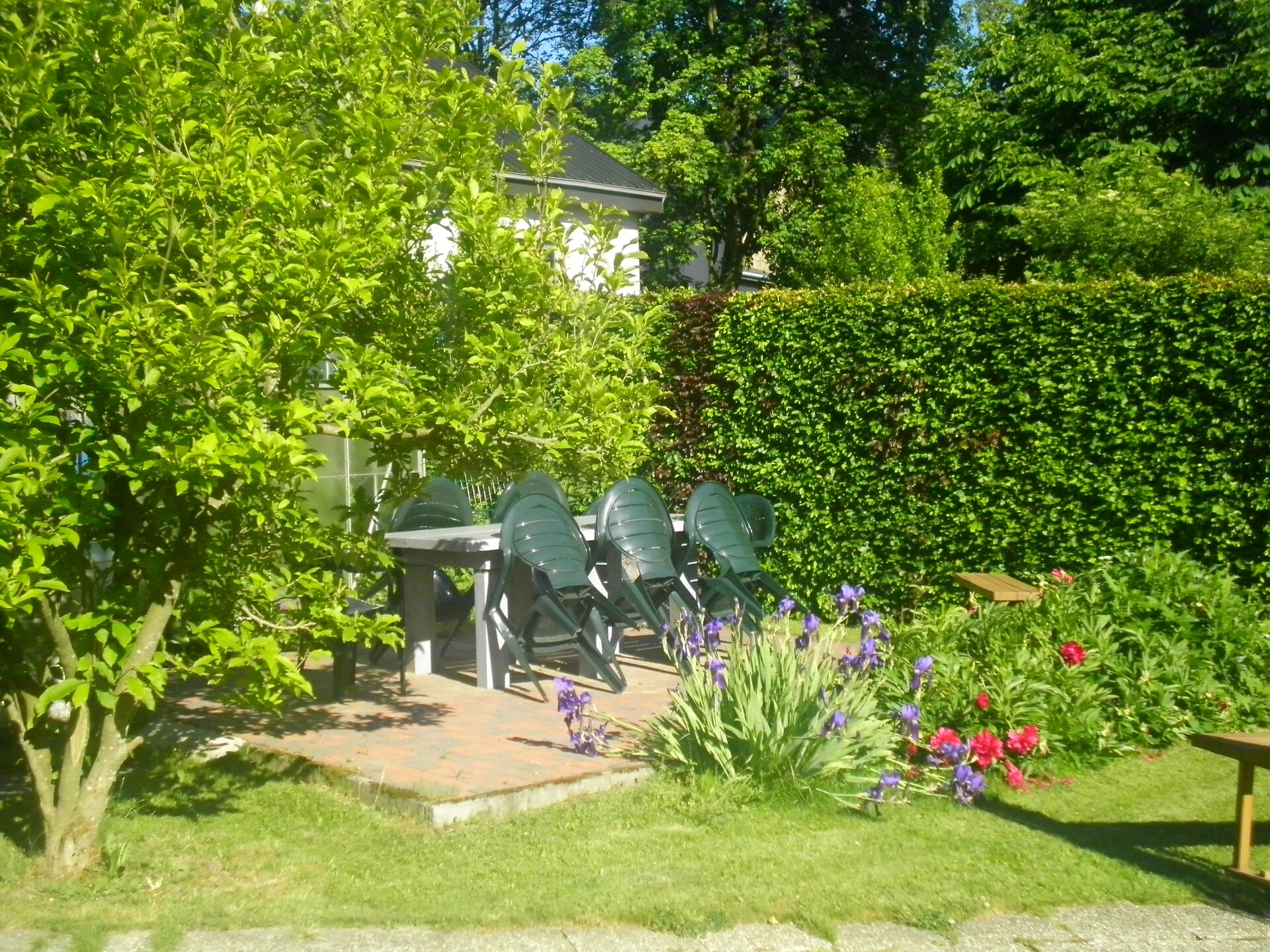 Vakantiehuis Am Burggarten in Bütgenbach: sauna, tuin en dichtbij het meer - foto 33