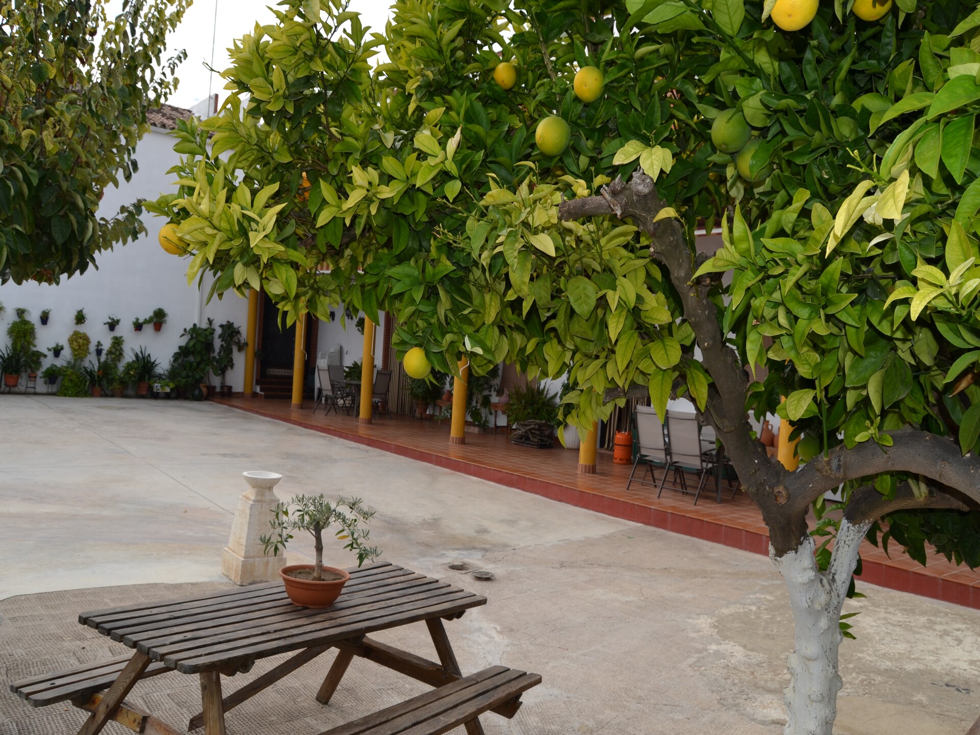 Authentiek Andalusisch landhuis met zwembad tussen de wijngaarden van Moriles - foto 38