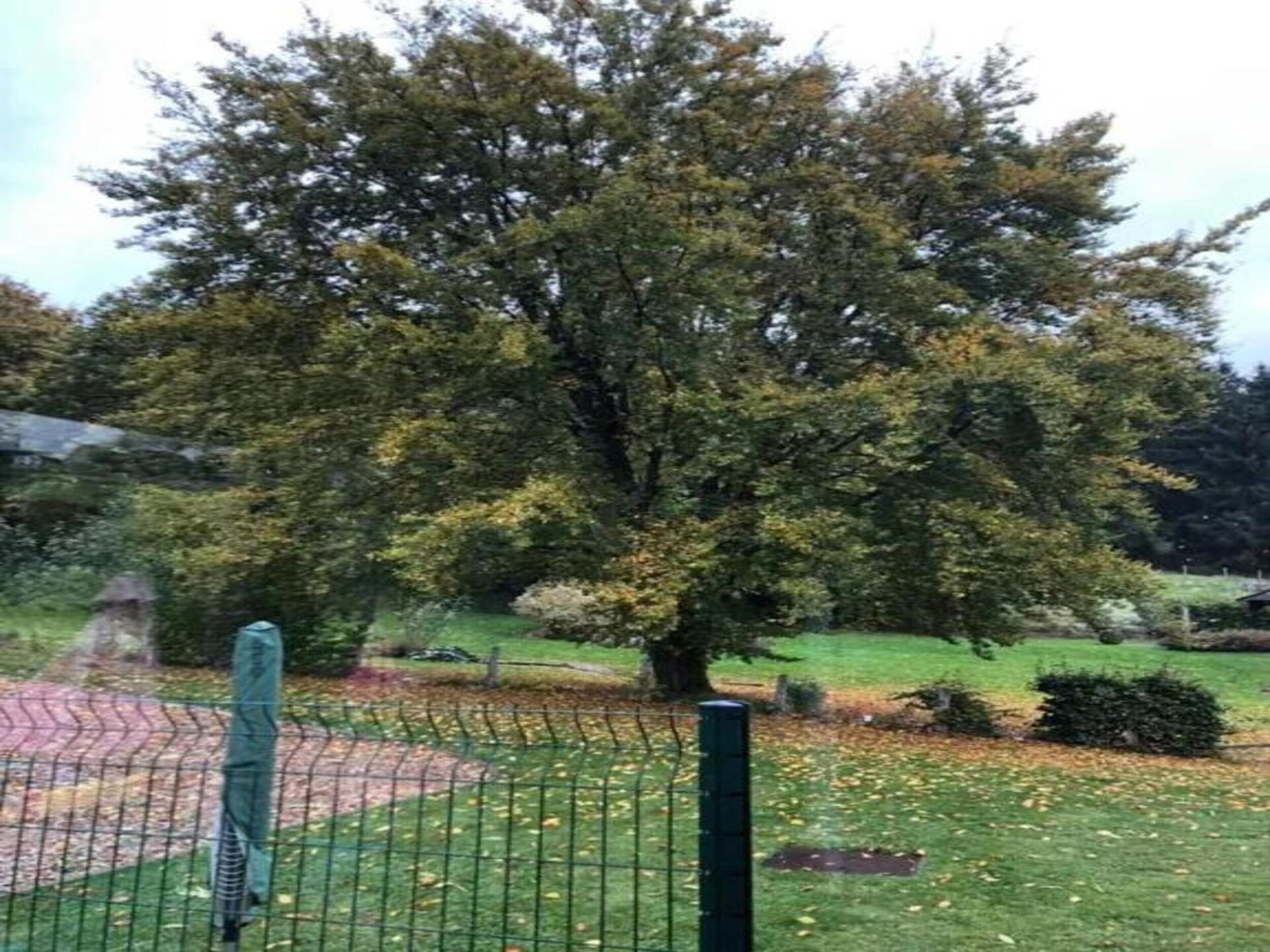 6-persoons landhuis met tuin en speelruimte in Waimes - foto 33