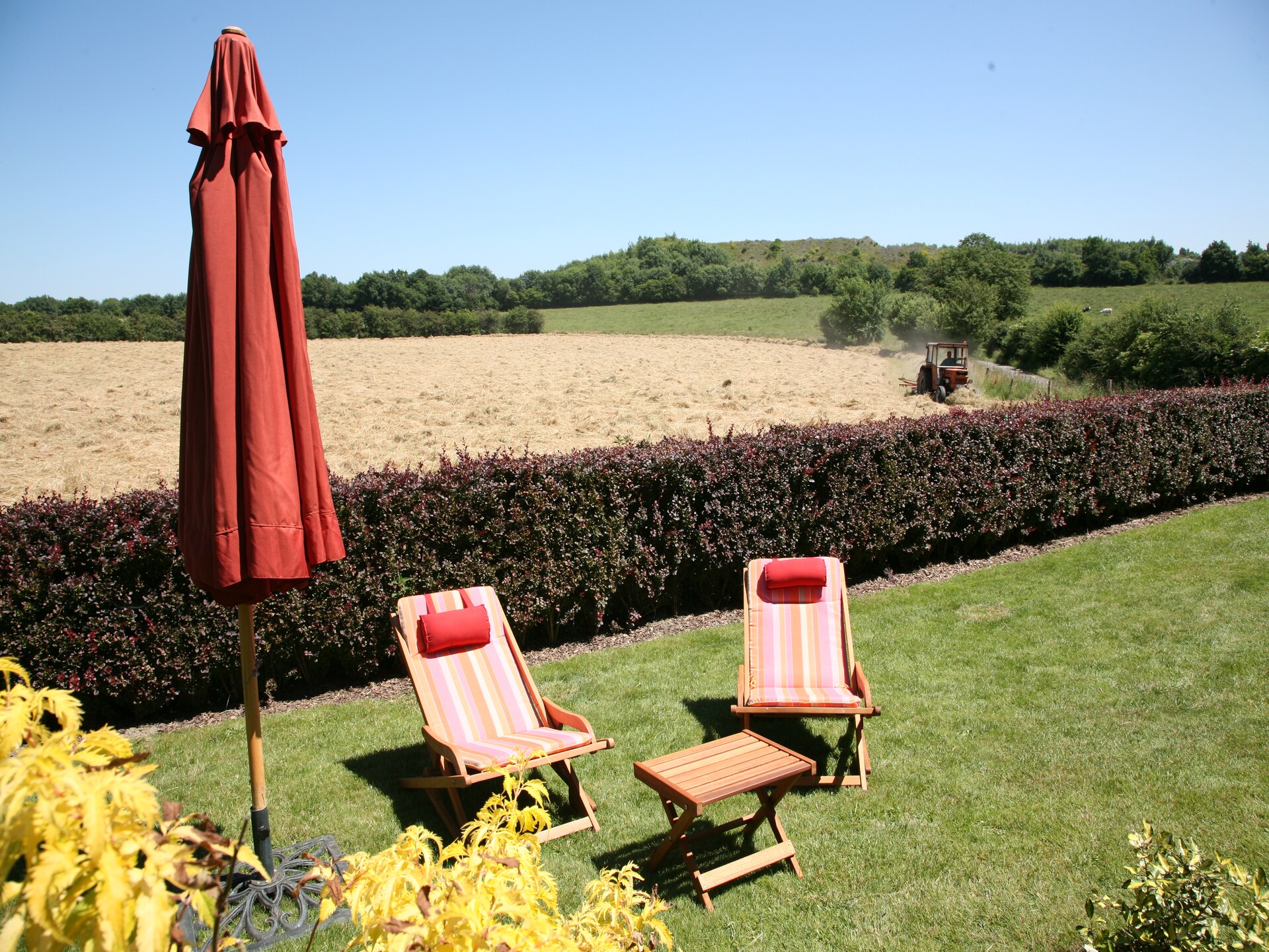 Knus landhuisje voor 2 in de bossen bij Bastogne met privétuin - foto 27