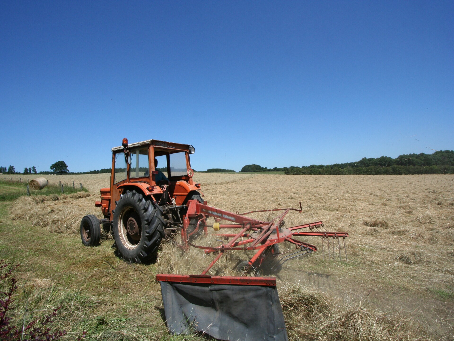 Knus landhuisje voor 2 in de bossen bij Bastogne met privétuin - foto 28