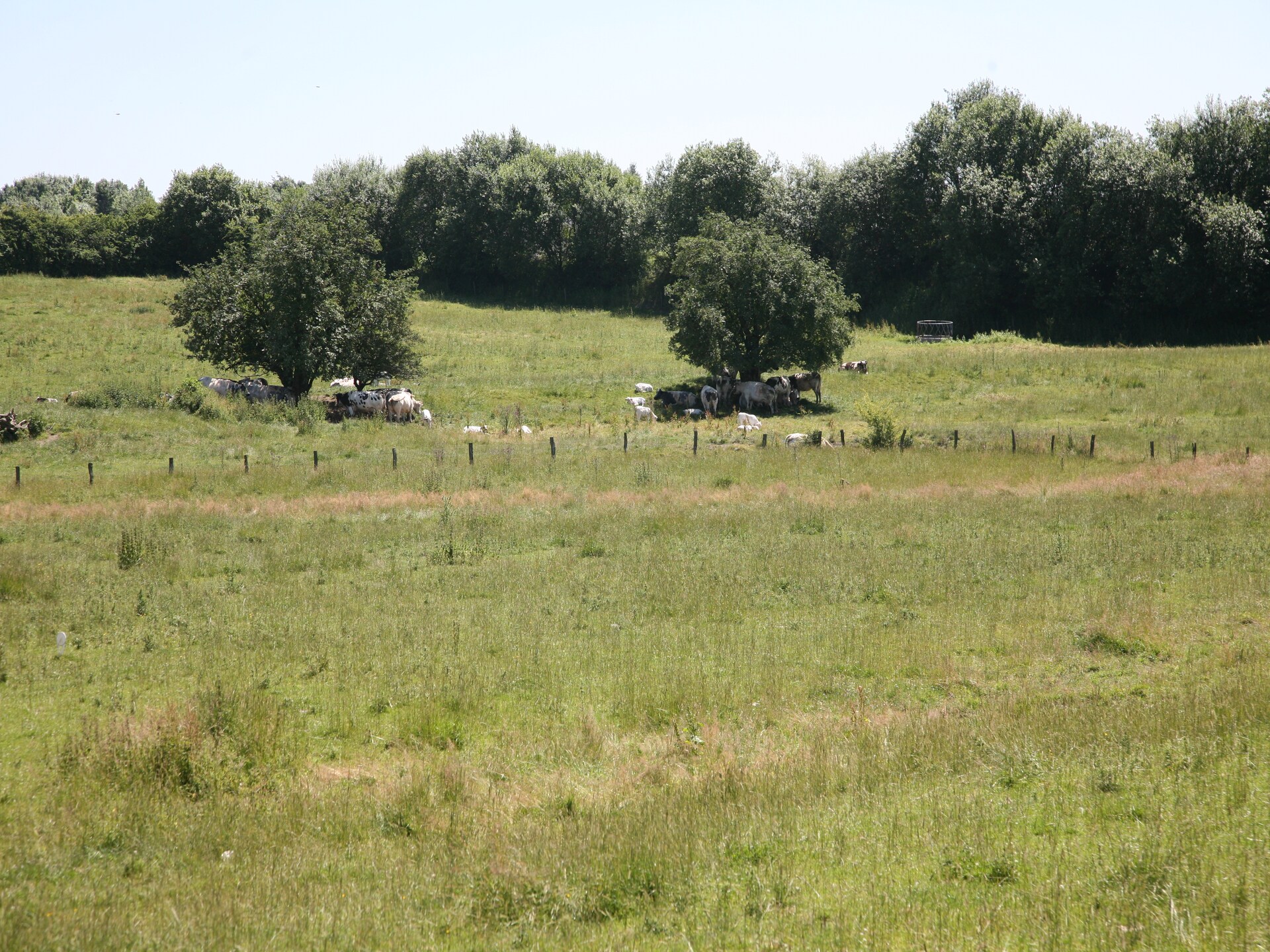 Knus landhuisje voor 2 in de bossen bij Bastogne met privétuin - foto 29