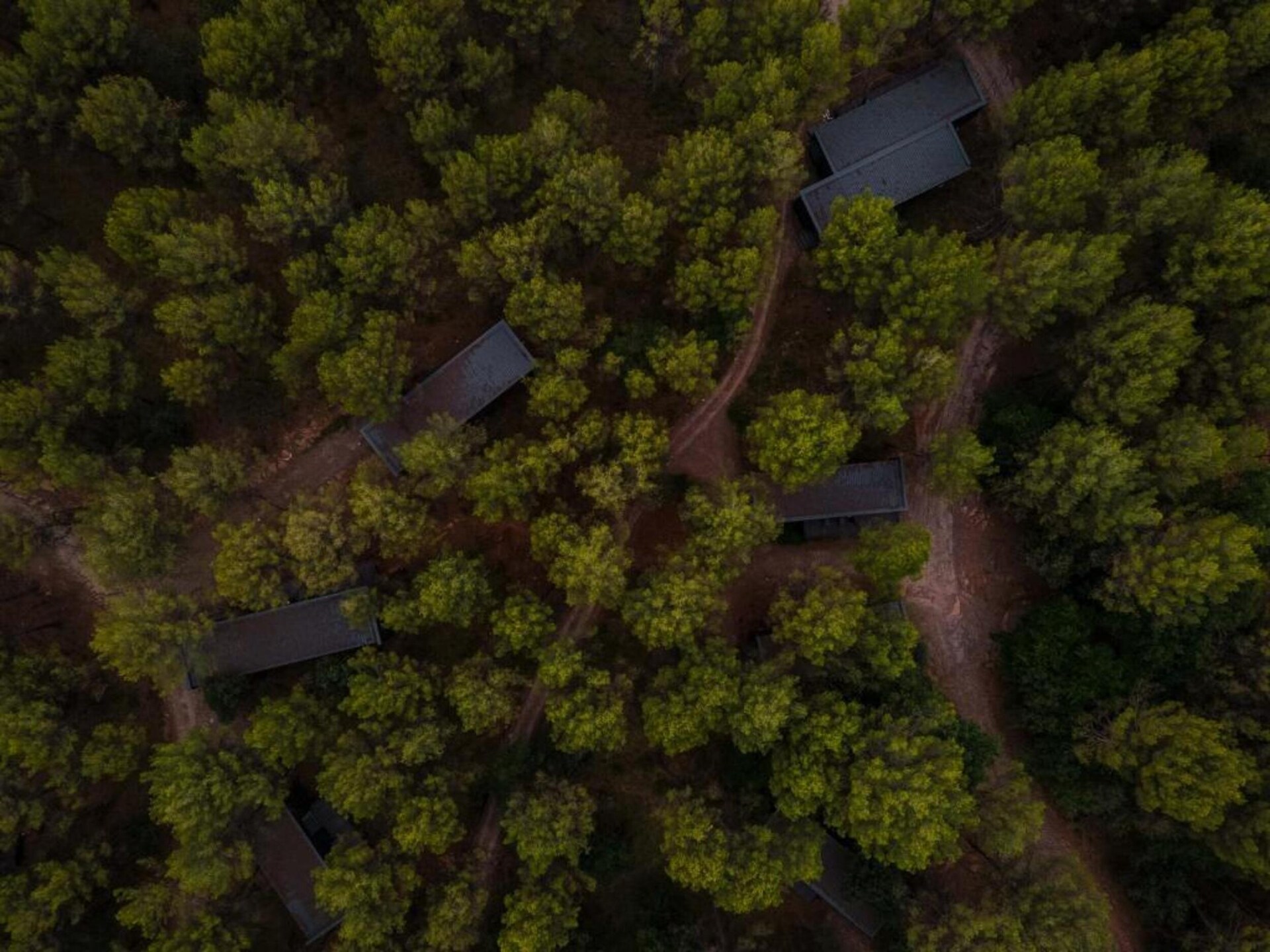 Authentiek landhuis op 300m van meer, Montserrat regio - foto 38