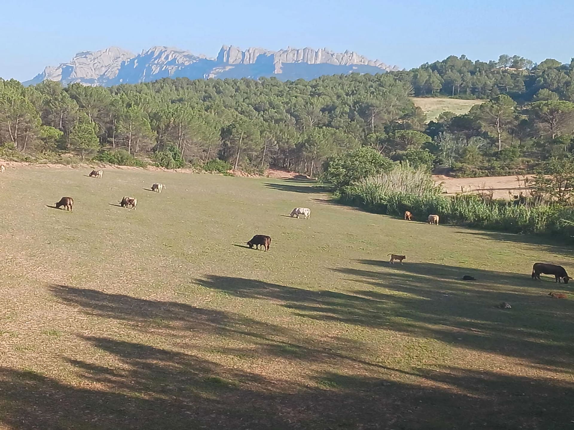 5-persoons landhuis in Sant Salvador de Guardiola nabij het meer - foto 23