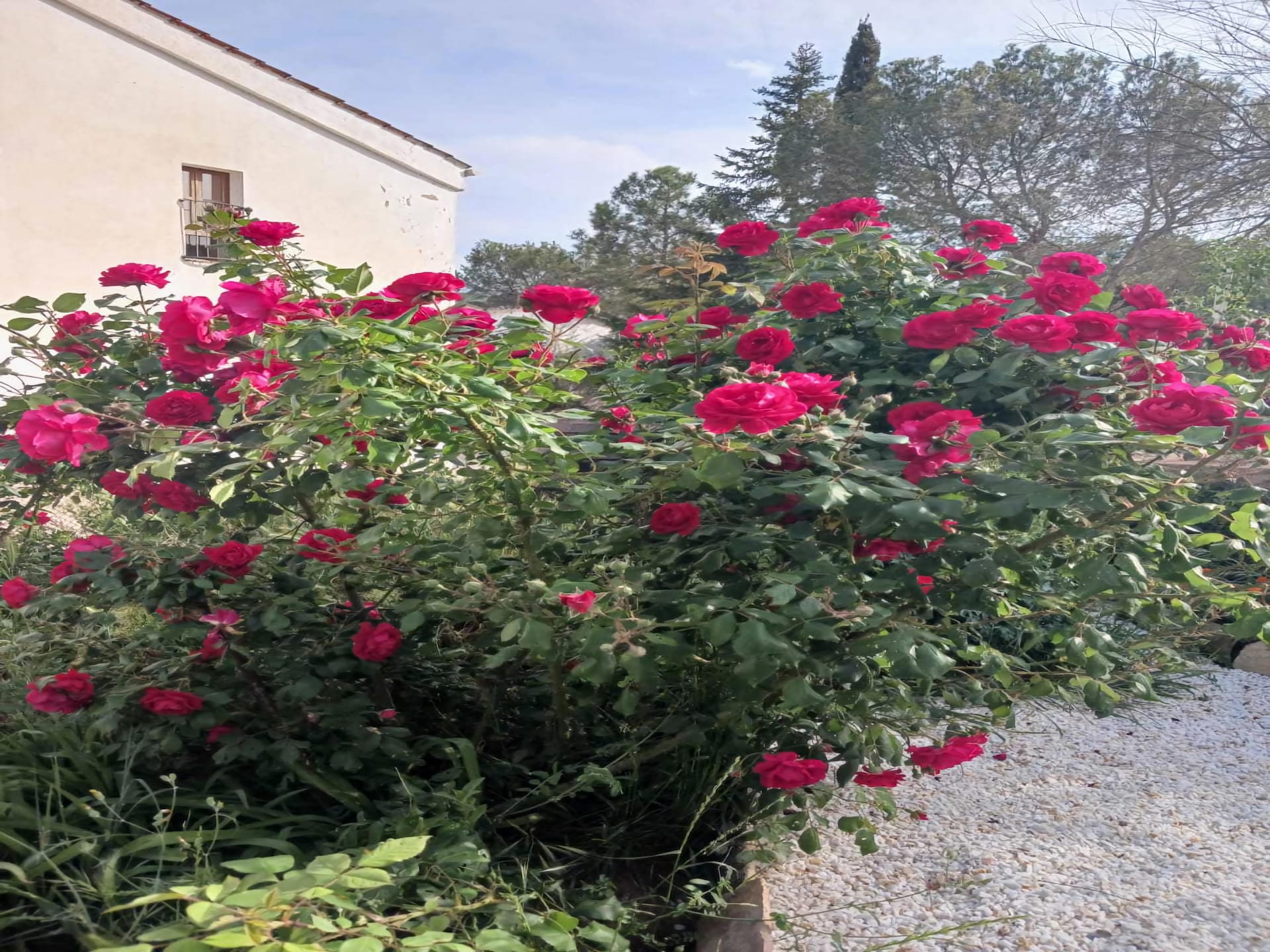 5-persoons landhuis in Sant Salvador de Guardiola nabij het meer - foto 25