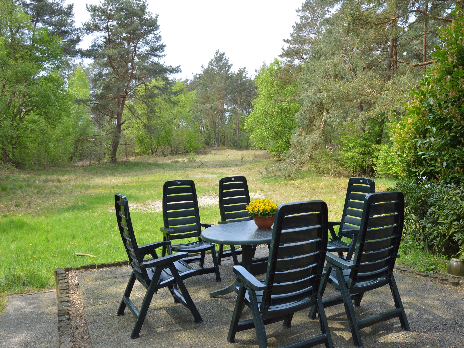 Dapama: Vrijstaand rietgedekt huis in het bos van Beerze voor 6 personen - foto 36