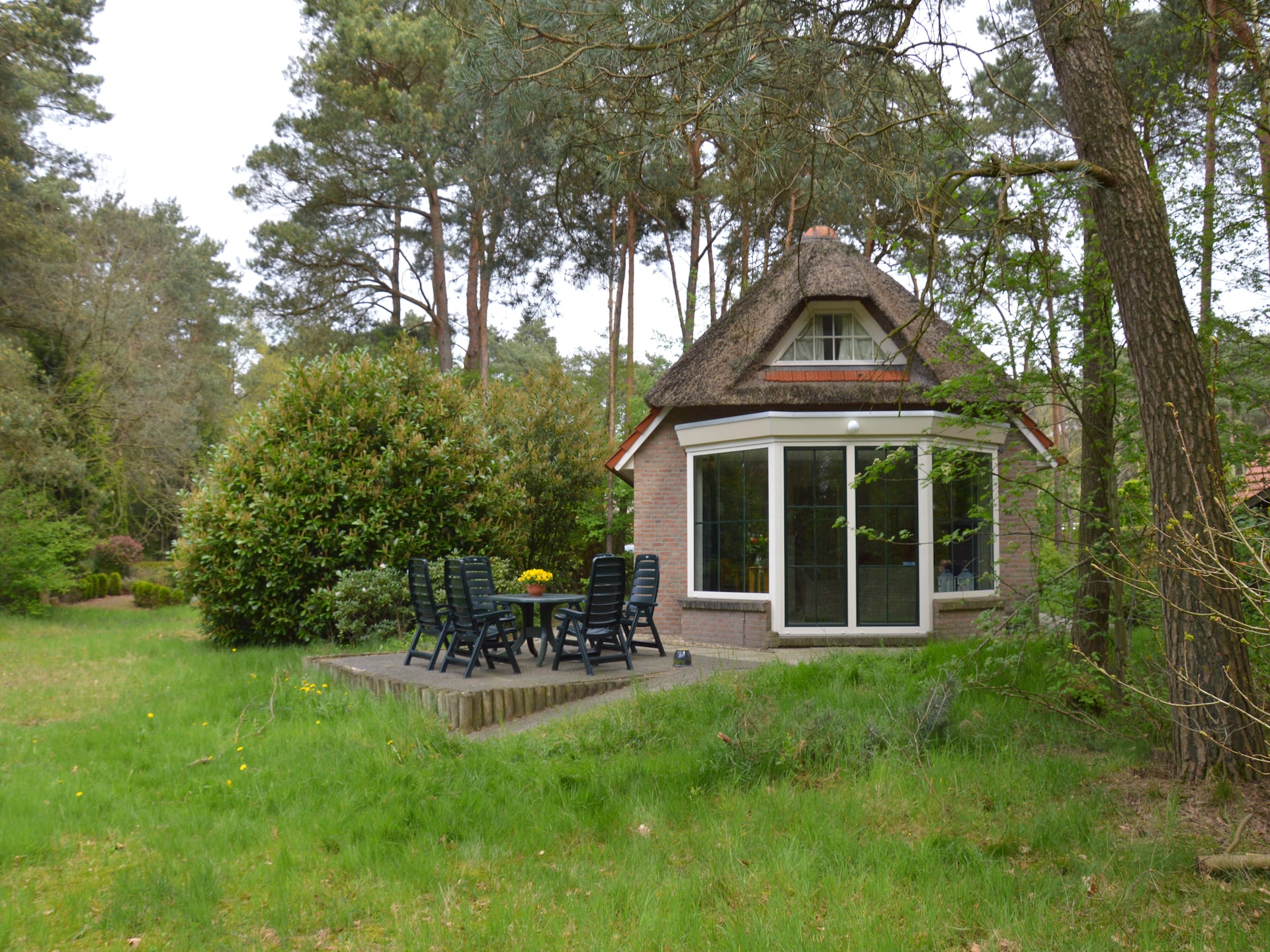 Dapama: Vrijstaand rietgedekt huis in het bos van Beerze voor 6 personen - foto 39