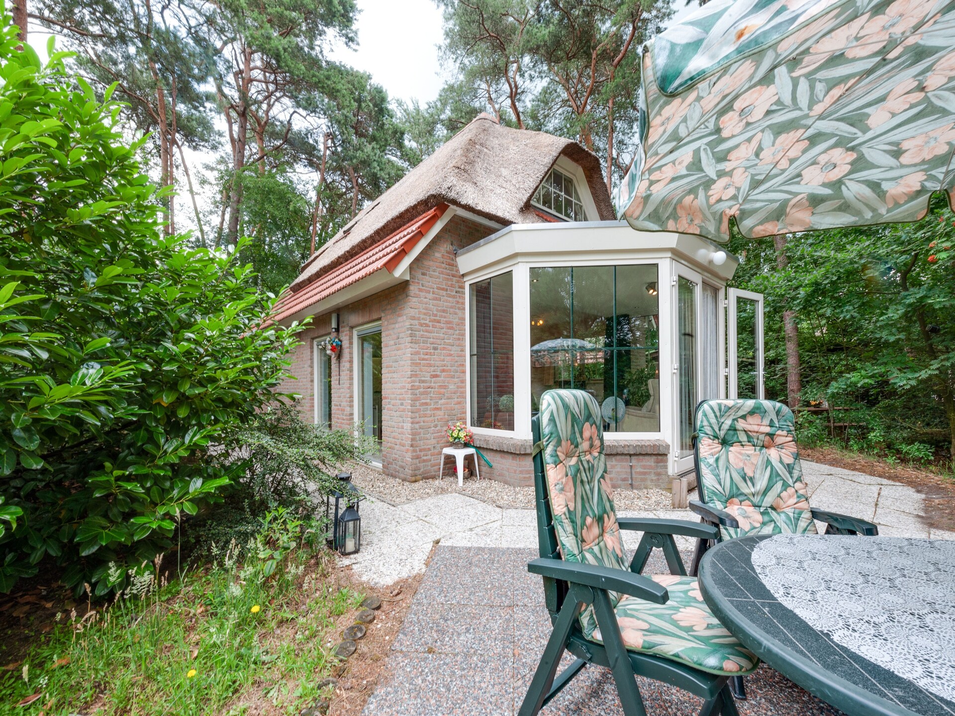 Dapama: Vrijstaand rietgedekt huis in het bos van Beerze voor 6 personen - foto 12