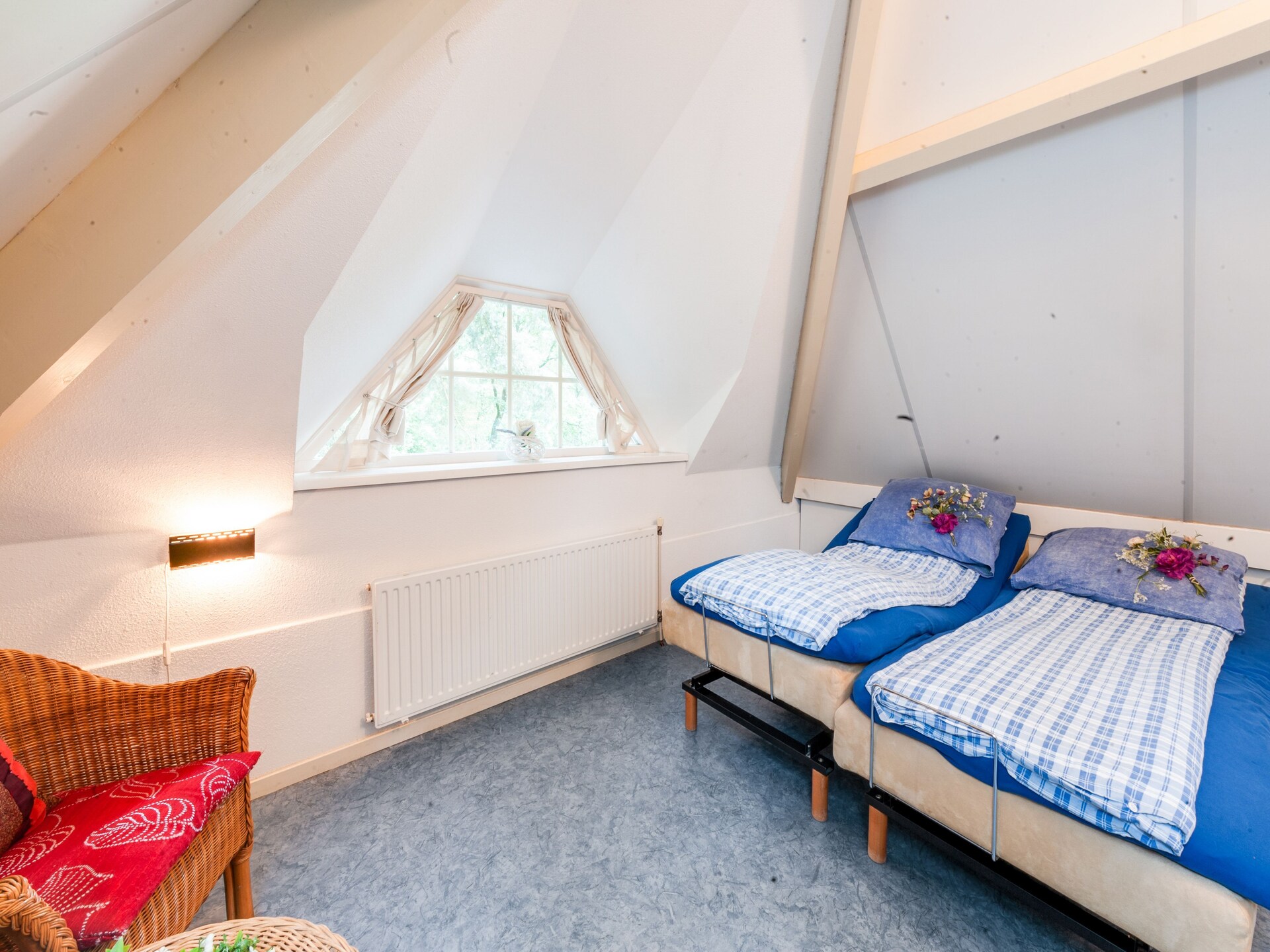 Dapama: Vrijstaand rietgedekt huis in het bos van Beerze voor 6 personen - foto 23