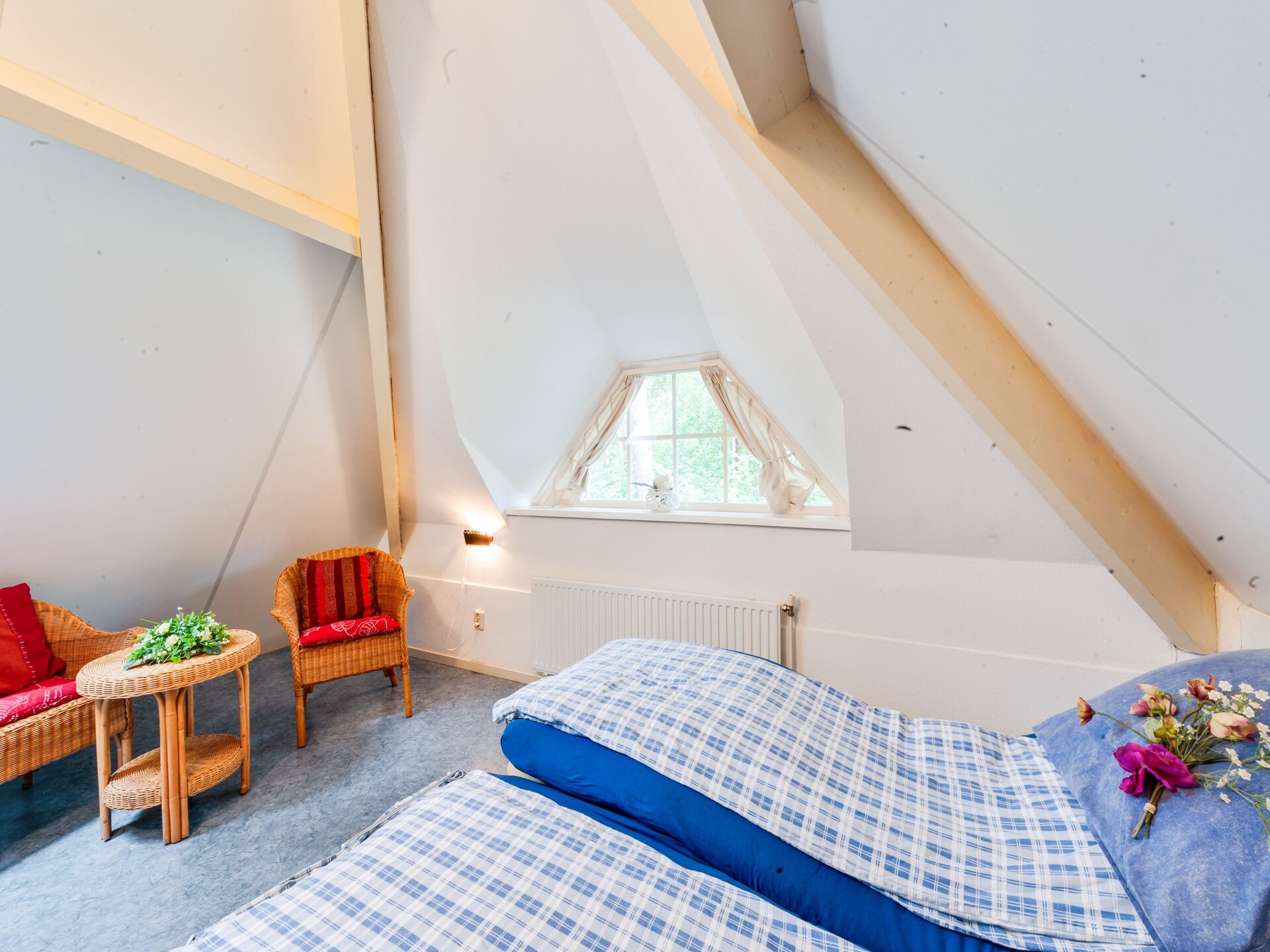 Dapama: Vrijstaand rietgedekt huis in het bos van Beerze voor 6 personen - foto 24