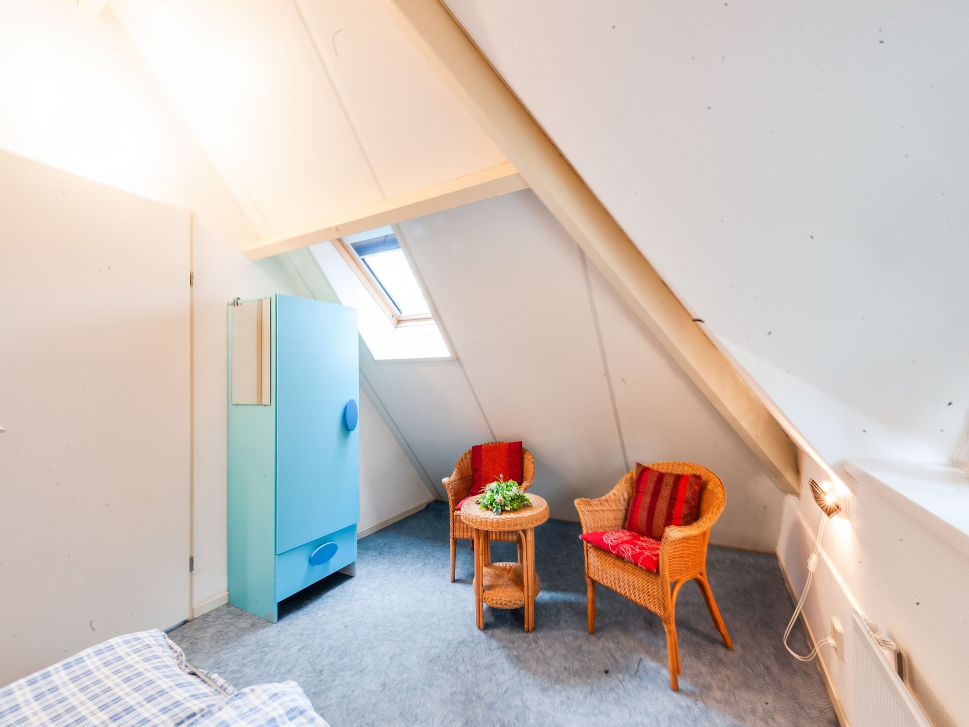 Dapama: Vrijstaand rietgedekt huis in het bos van Beerze voor 6 personen - foto 27