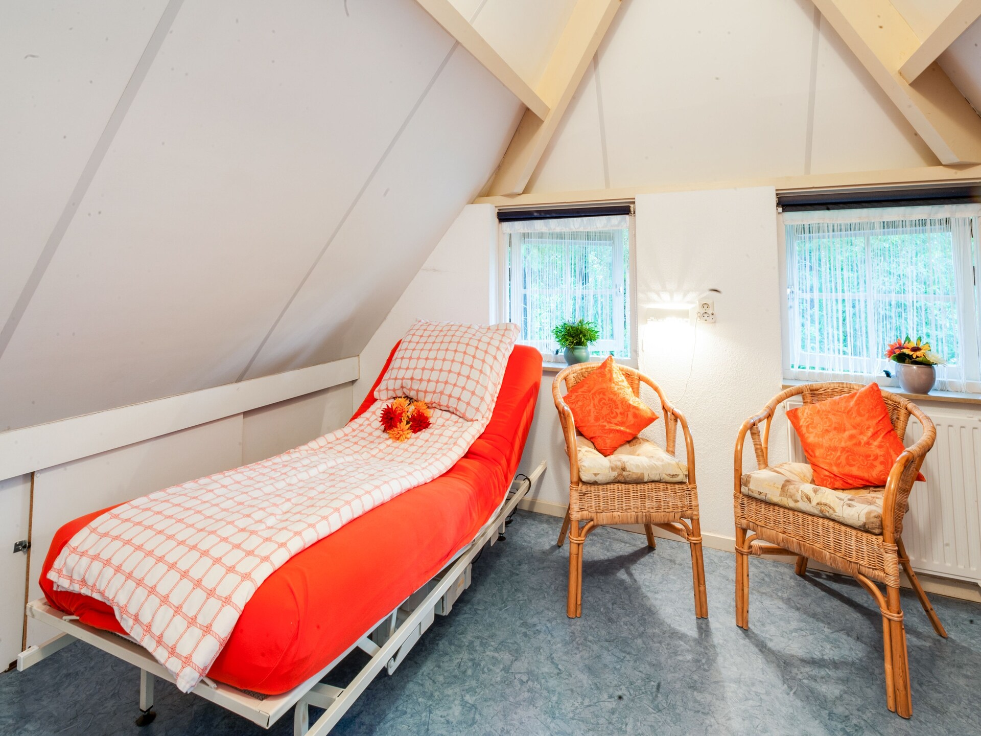 Dapama: Vrijstaand rietgedekt huis in het bos van Beerze voor 6 personen - foto 25
