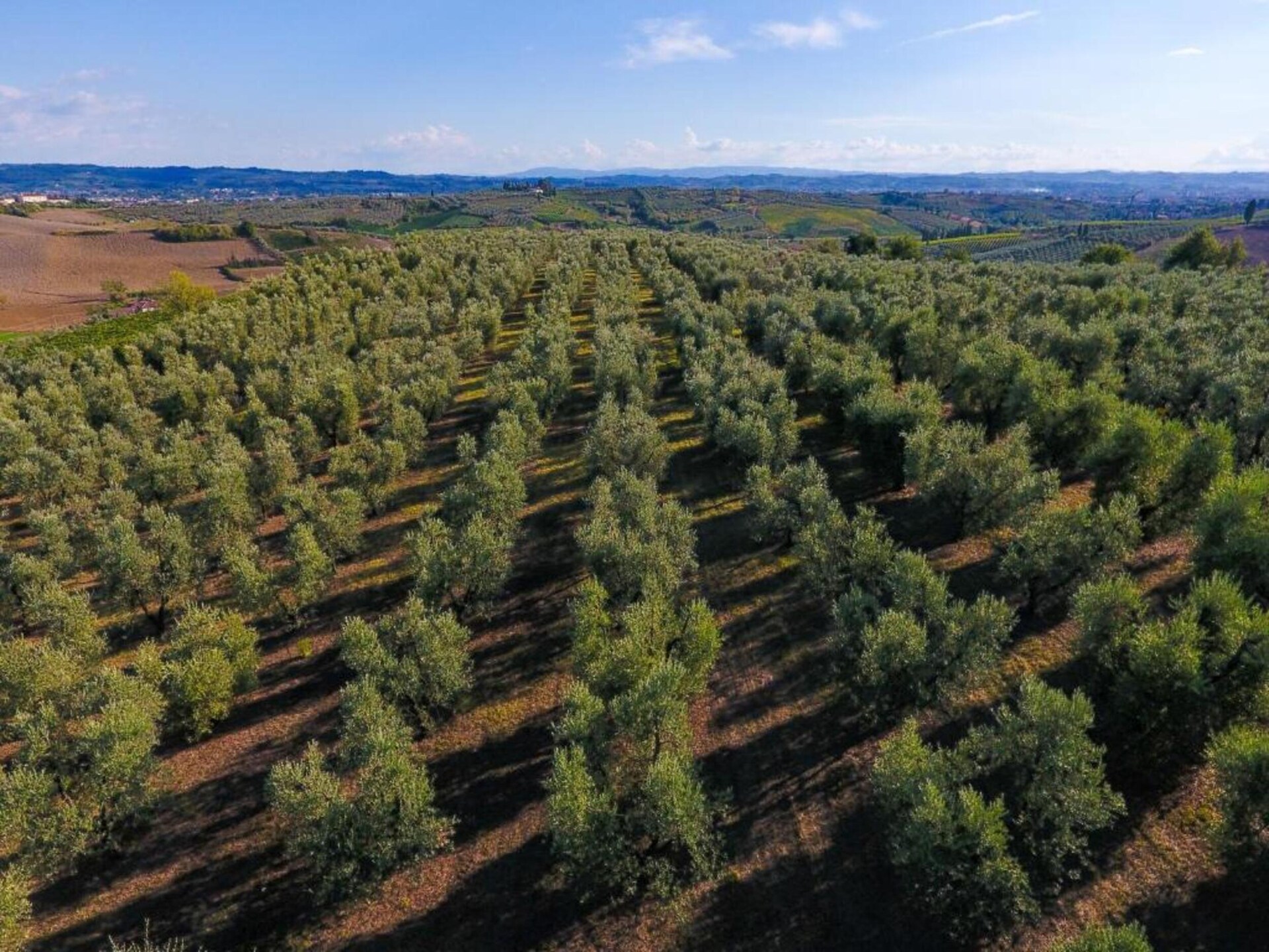 Da Vinci Uno: Authentieke Toscaanse boerderij aan de rand van het bos in Vinci - foto 25