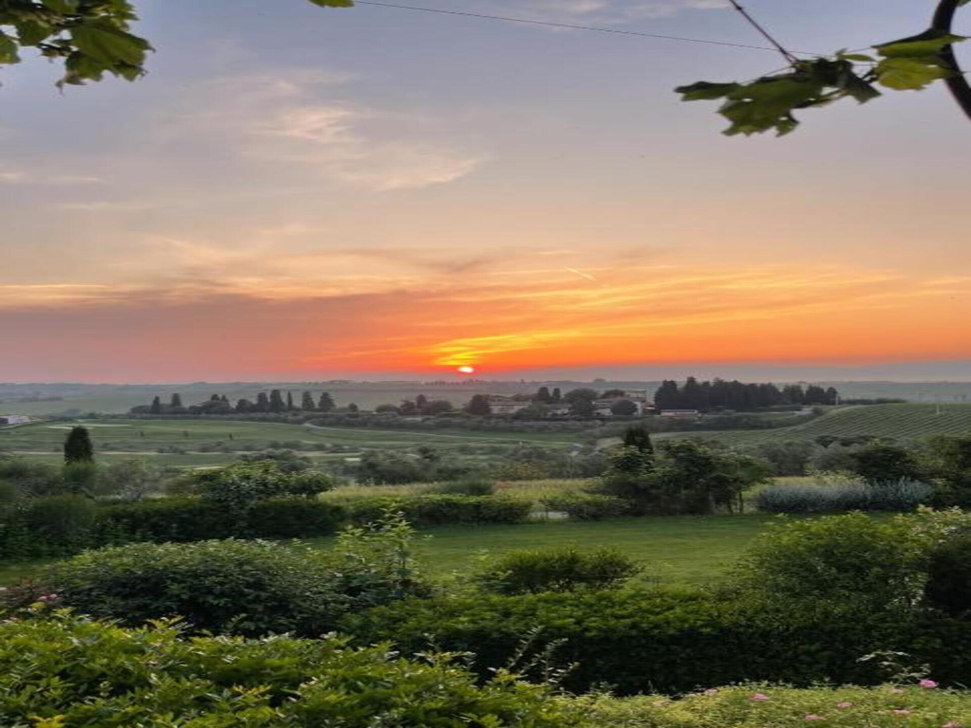 Da Vinci Uno: Authentieke Toscaanse boerderij aan de rand van het bos in Vinci - foto 30