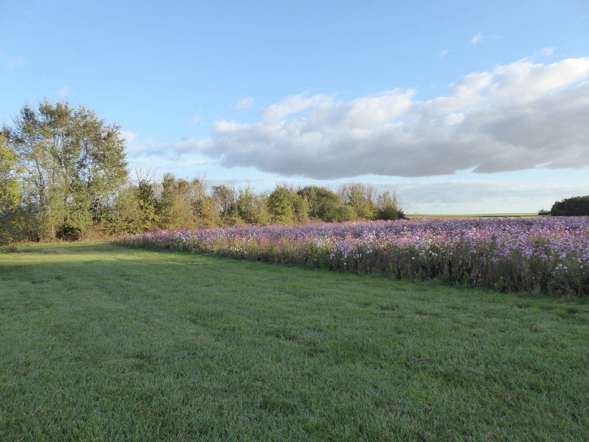 Rustieke boerderij voor 6 in de bossen bij Giroux - foto 32