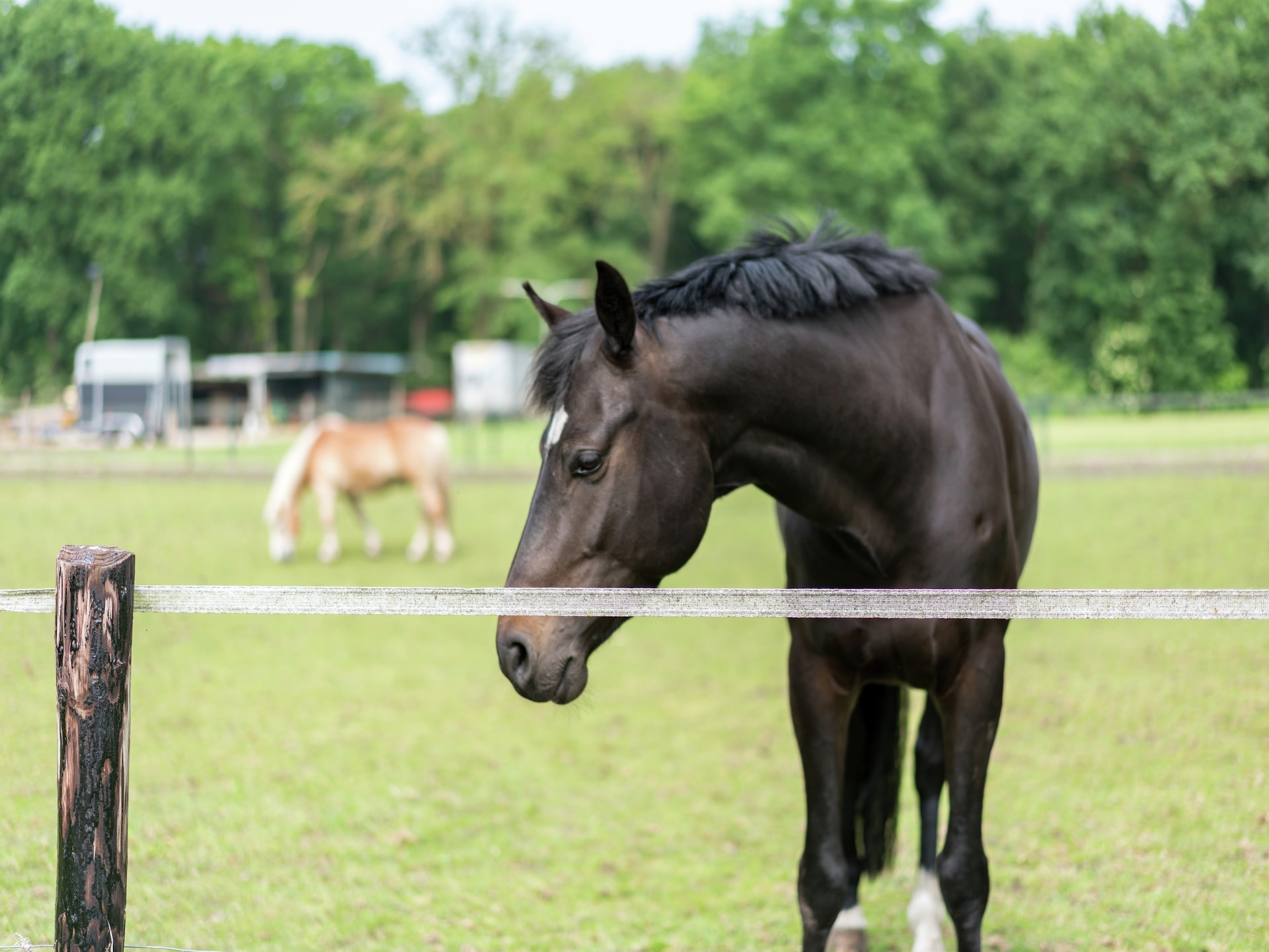 Gerhardeshoeve: Landelijke boerderij voor 20 gasten in bosrijk Overijssel - foto 38