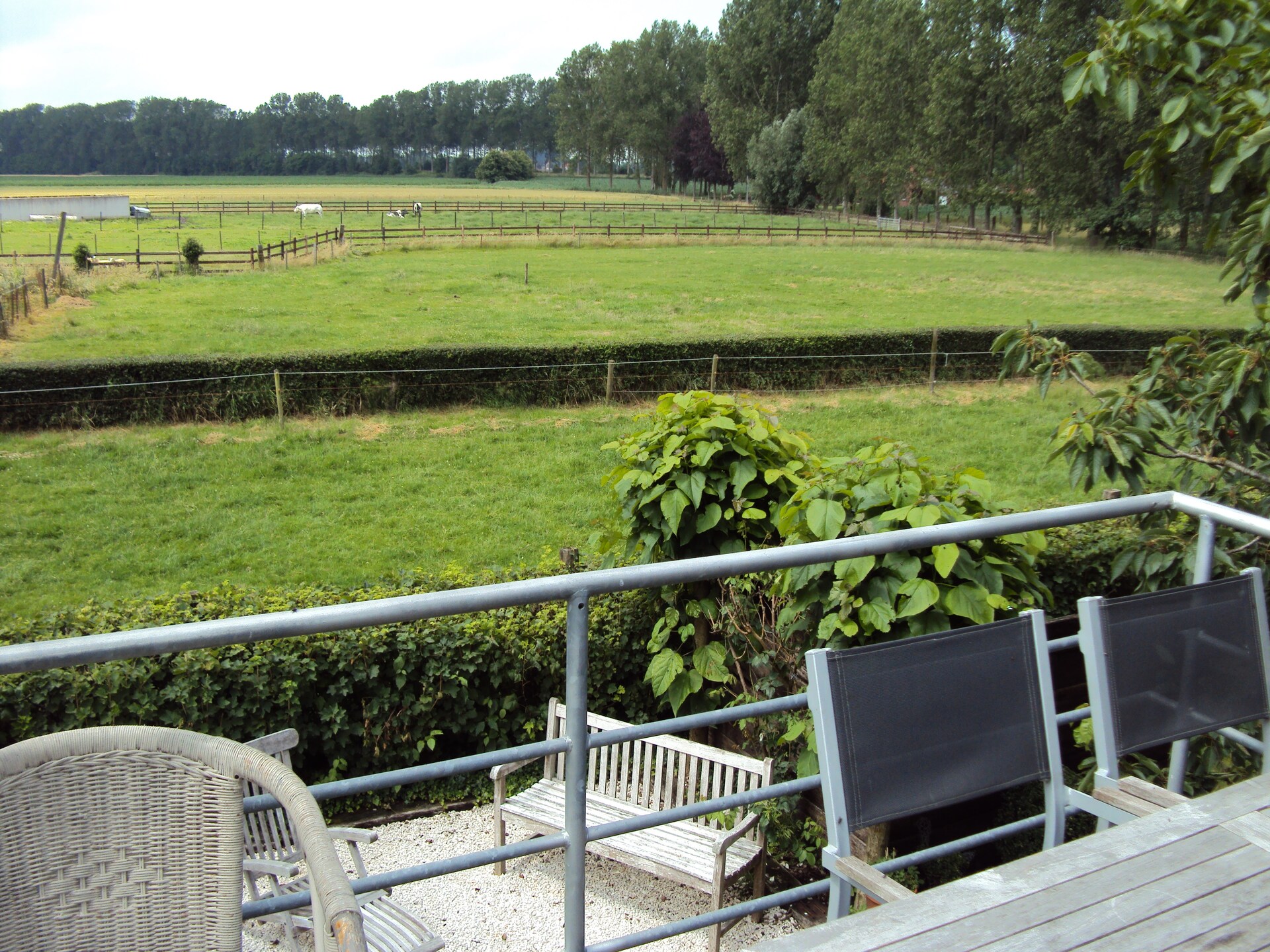 Landelijk appartement met uitzicht op paarden en schapen nabij Brugge - foto 21