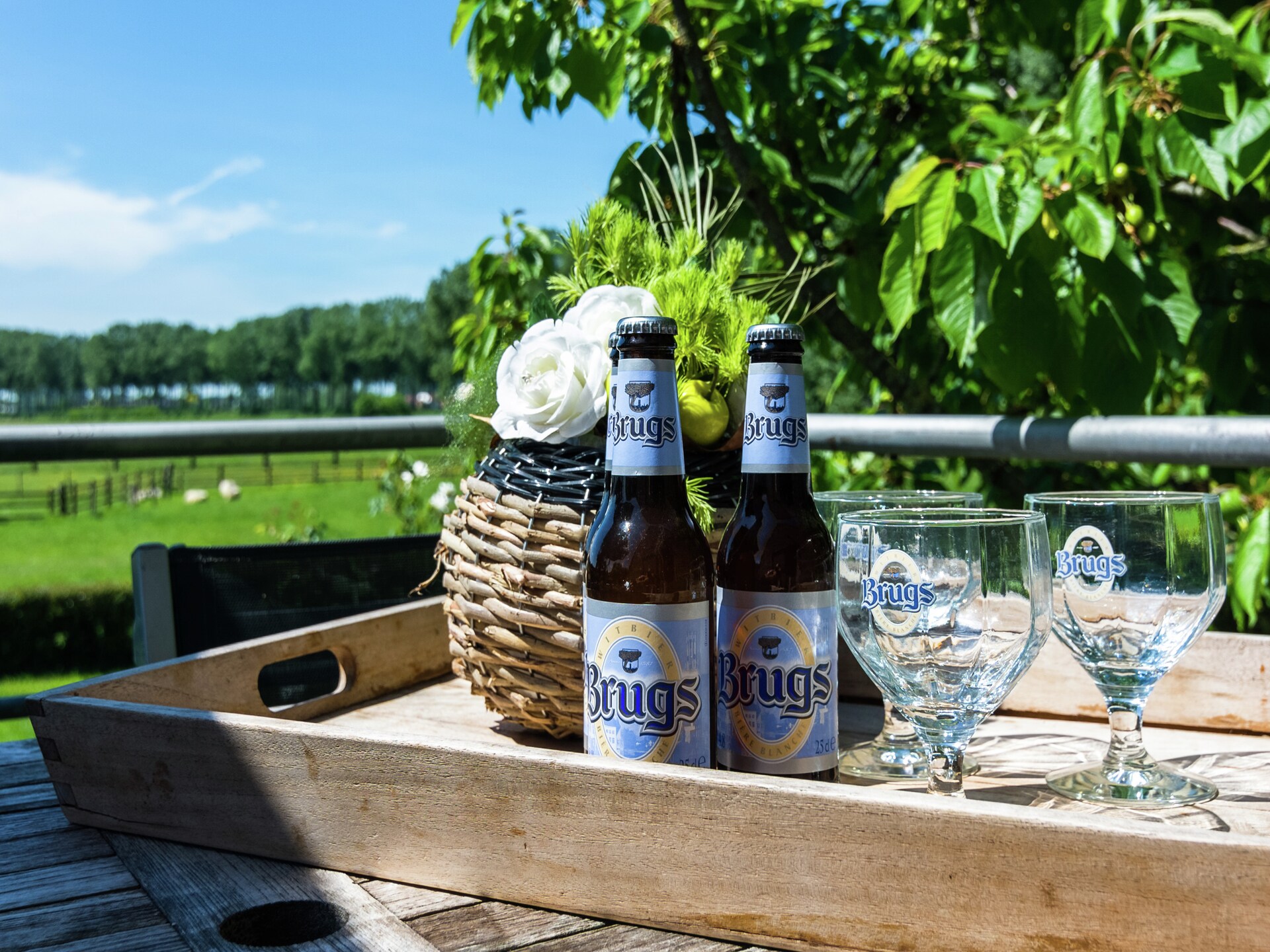 Landelijk appartement met uitzicht op paarden en schapen nabij Brugge - foto 25