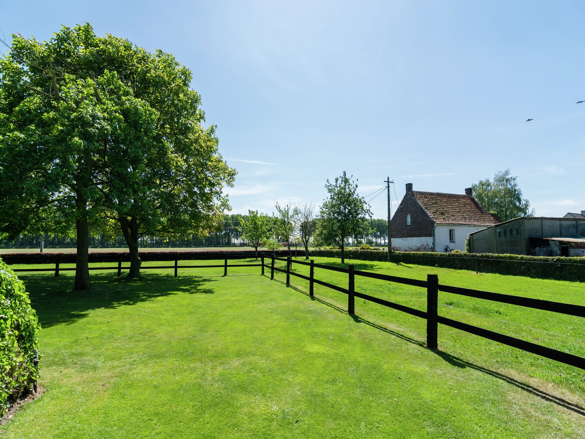 Landelijk appartement met uitzicht op paarden en schapen nabij Brugge - foto 19