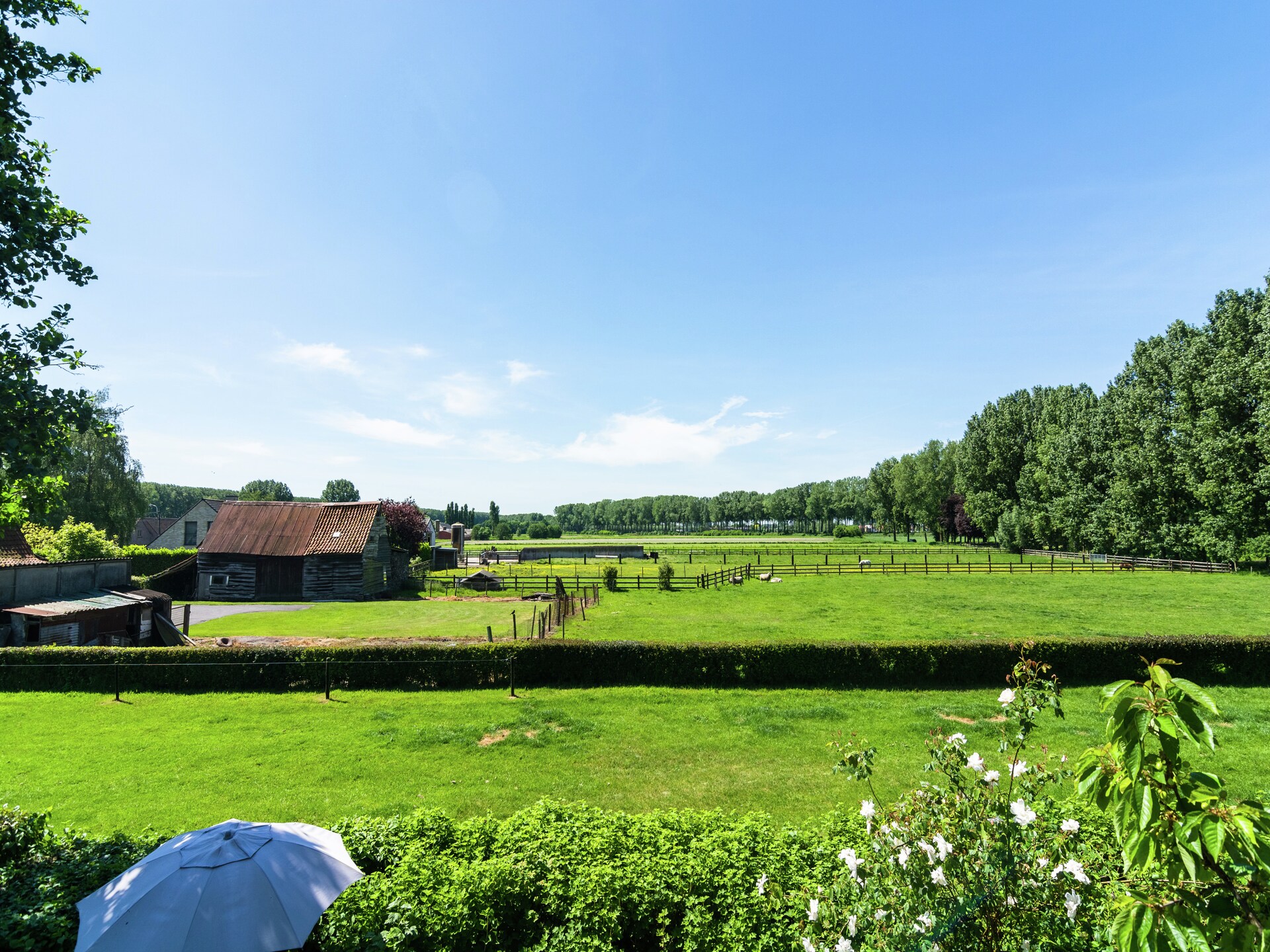 Landelijk appartement met uitzicht op paarden en schapen nabij Brugge - foto 20
