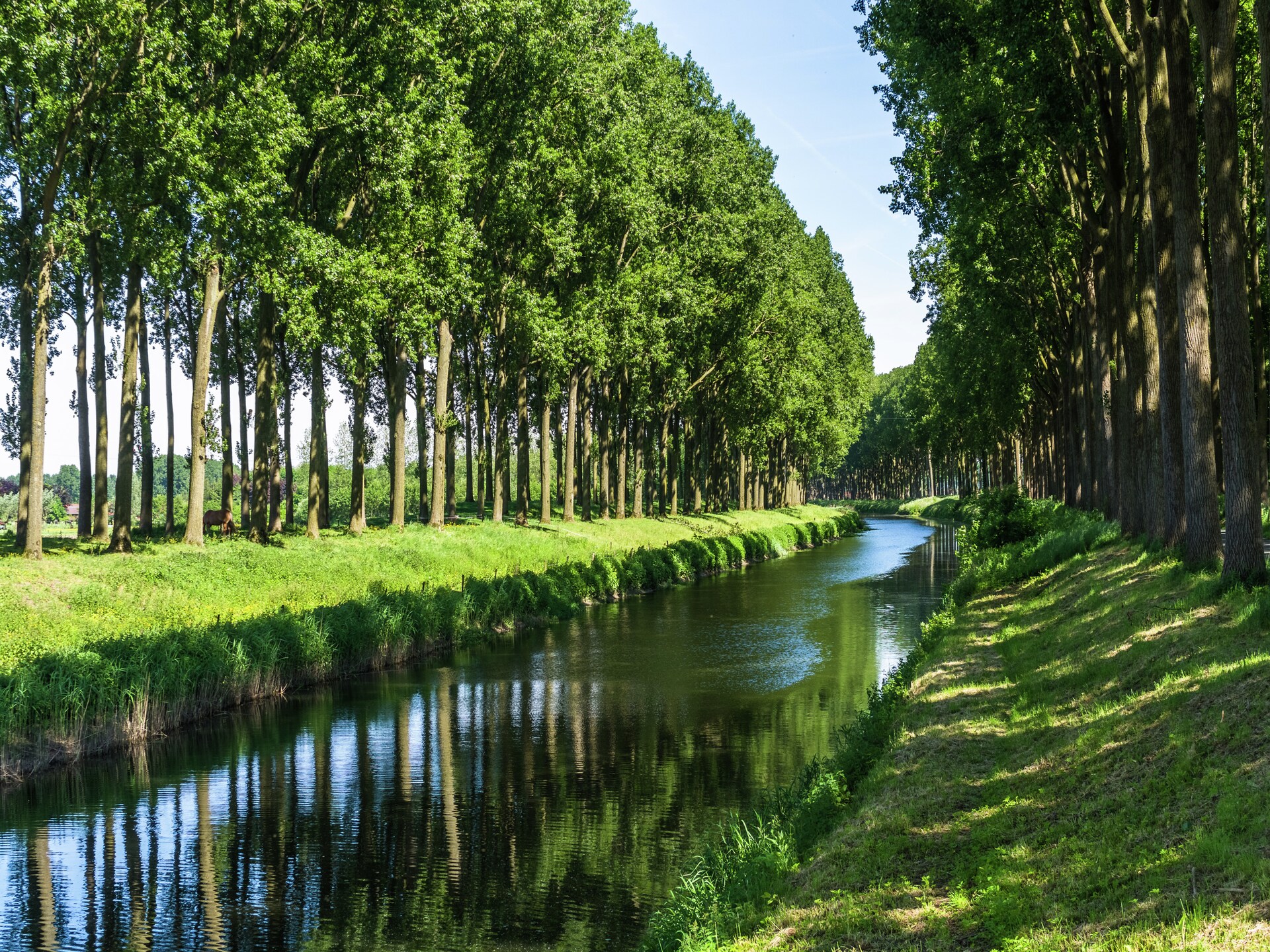Landelijk appartement met uitzicht op paarden en schapen nabij Brugge - foto 22