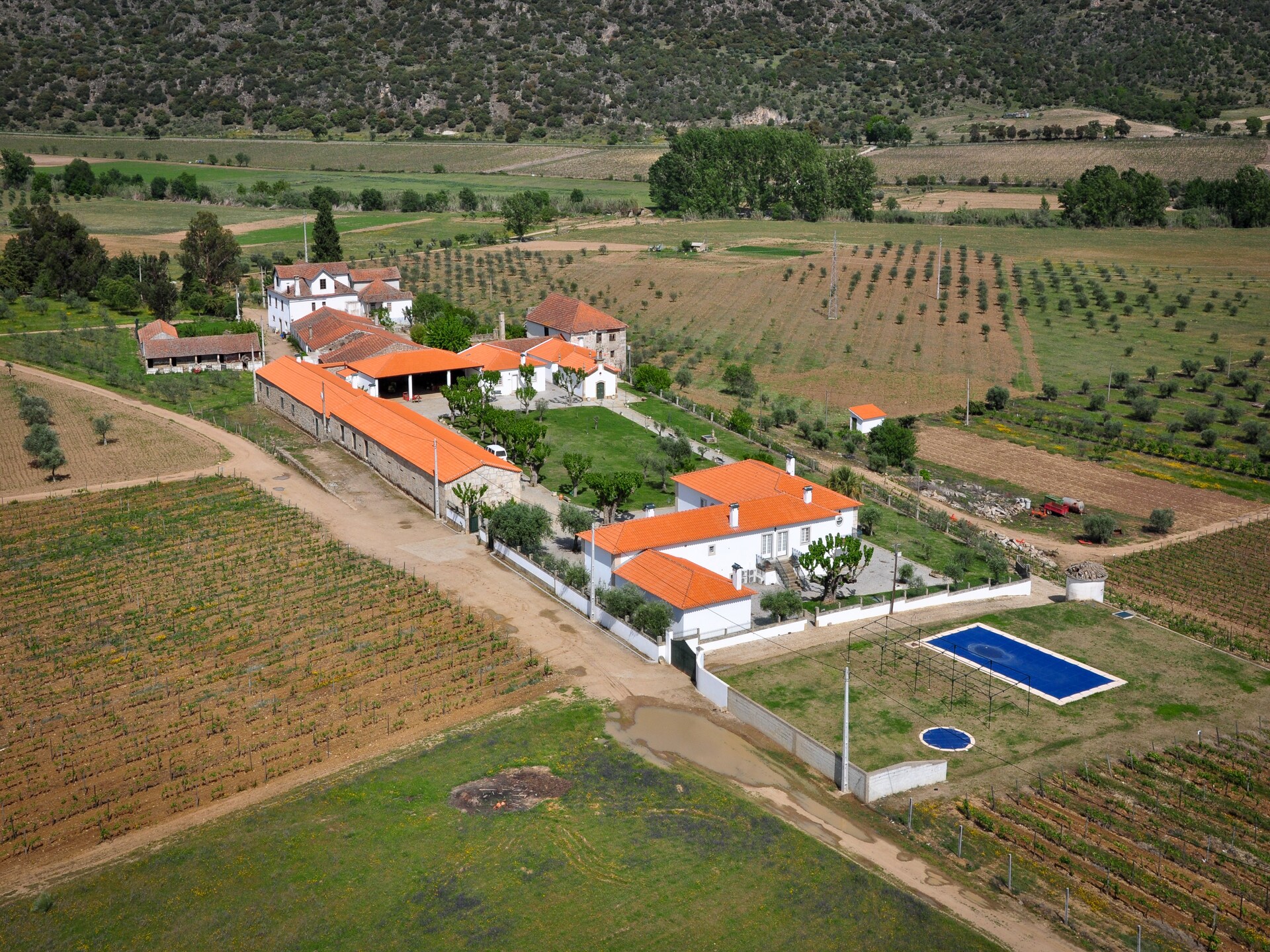 Casa da Capela: sfeervol landhuis in het hart van Trás-os-Montes - foto 23