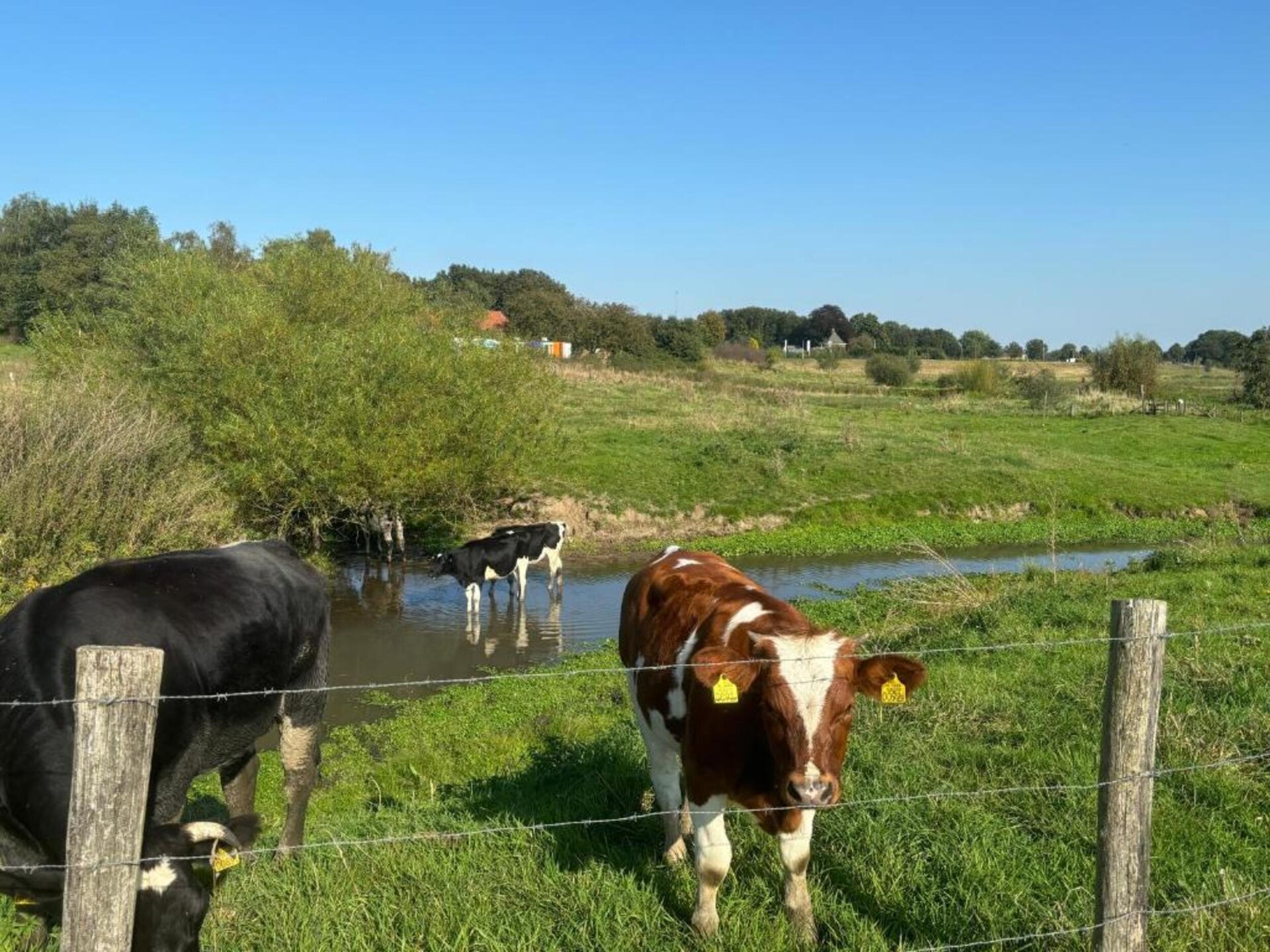 De Riethorst 2: Luxe vakantiehuis met omheinde tuin in Plasmolen, Limburg - foto 37